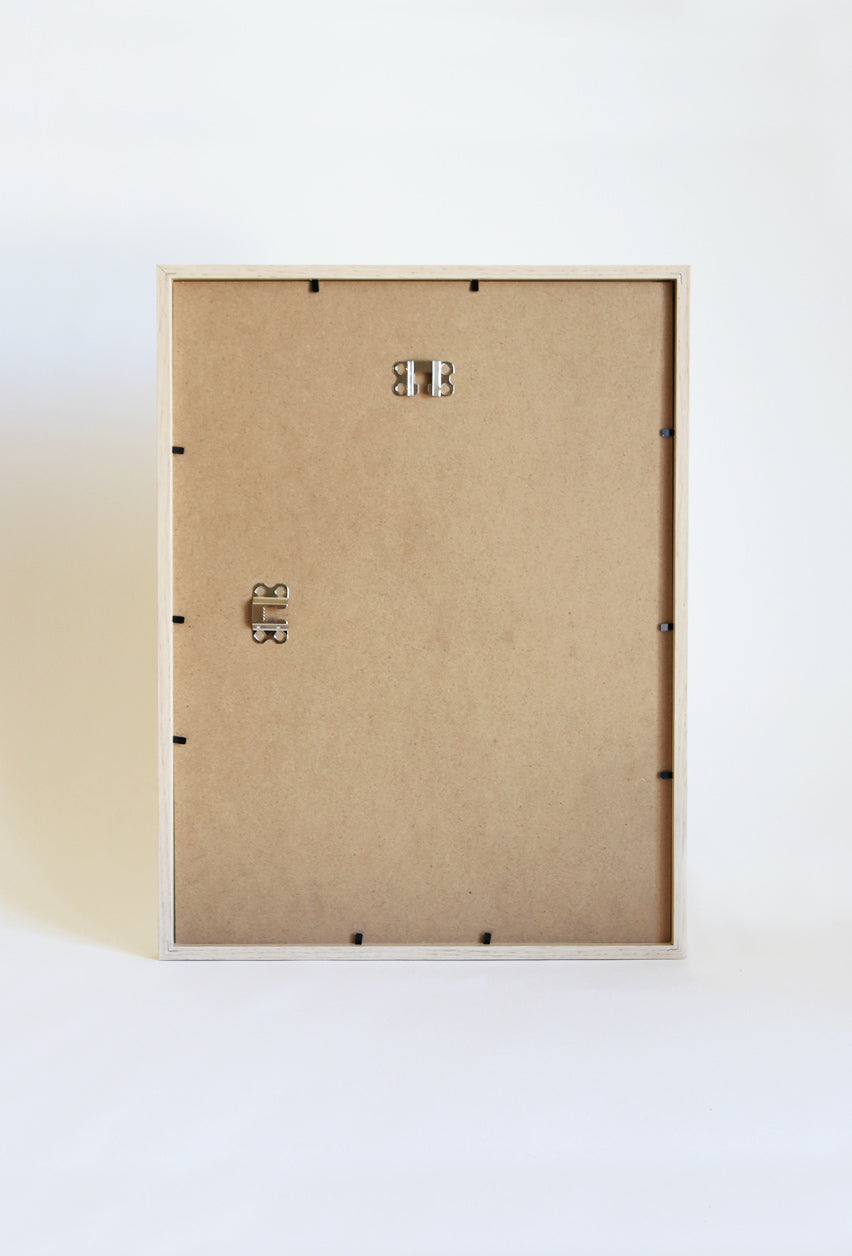 Herbier encadré de fleurs de verveine rose bleu Cadre Herbarium de fleurs séchées Cadeau fleurs séchées Folium Maison Botanique