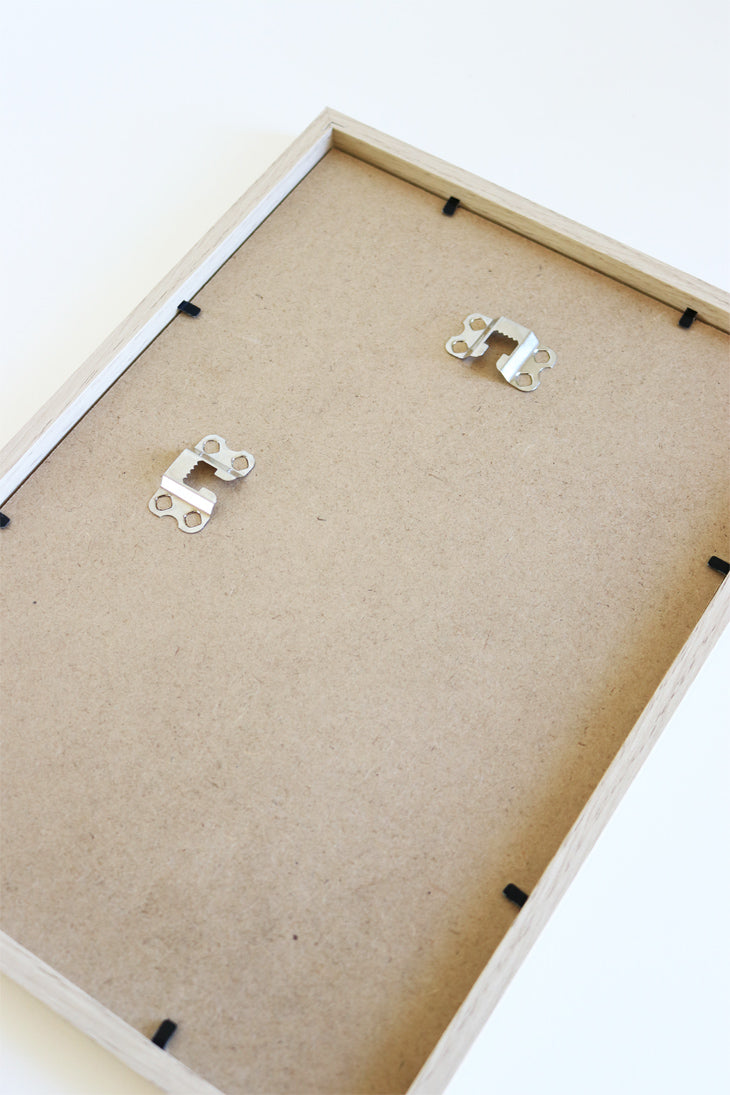 Herbier botanique de fleurs séchées Cadre herbarium encadré Cadeau floral Décoration murale Folium Maison Botanique