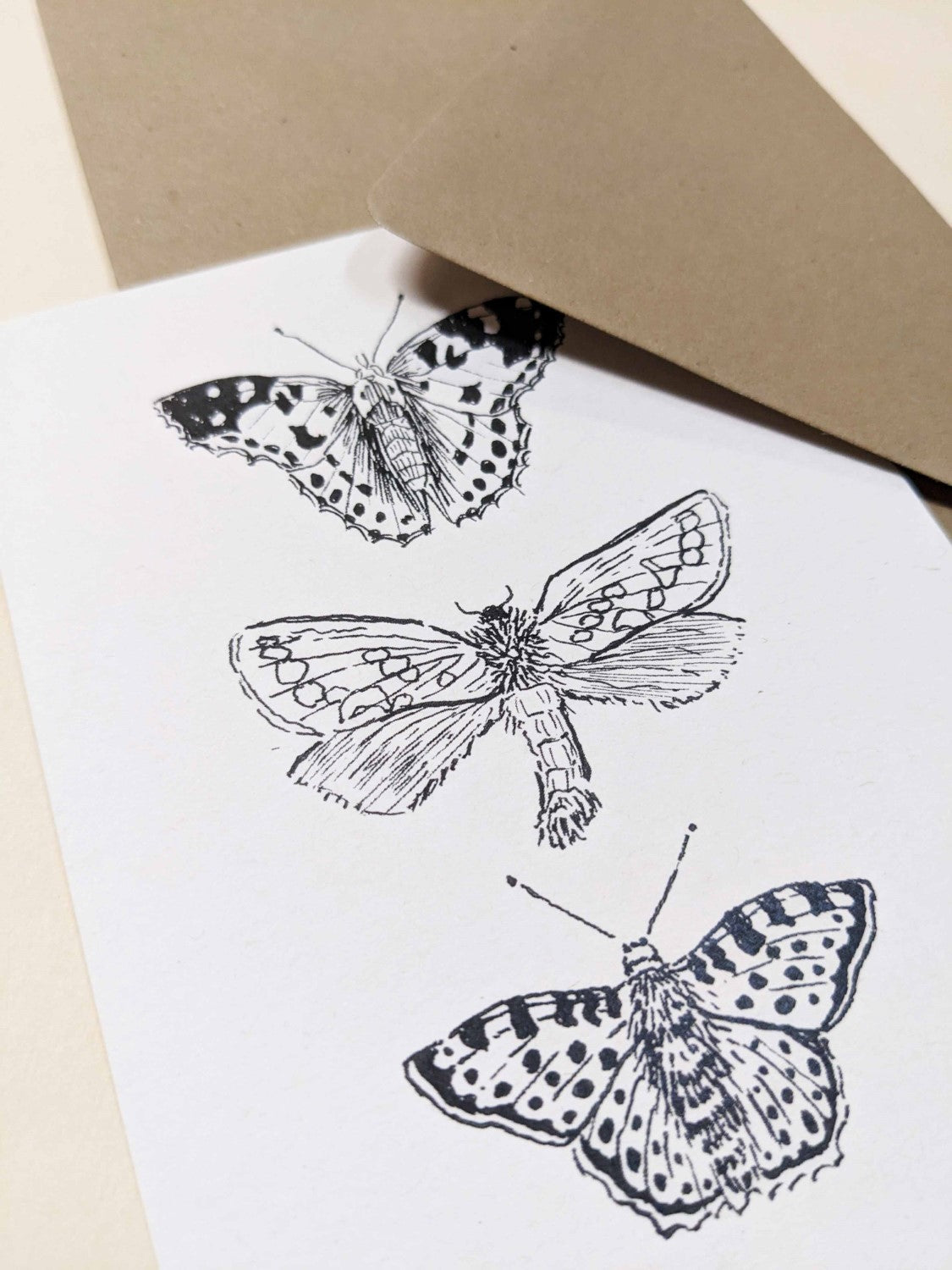 Carte anniversaire botanique illustrations fleurs dessin gravure florale dessin à encadrer folium herbiers