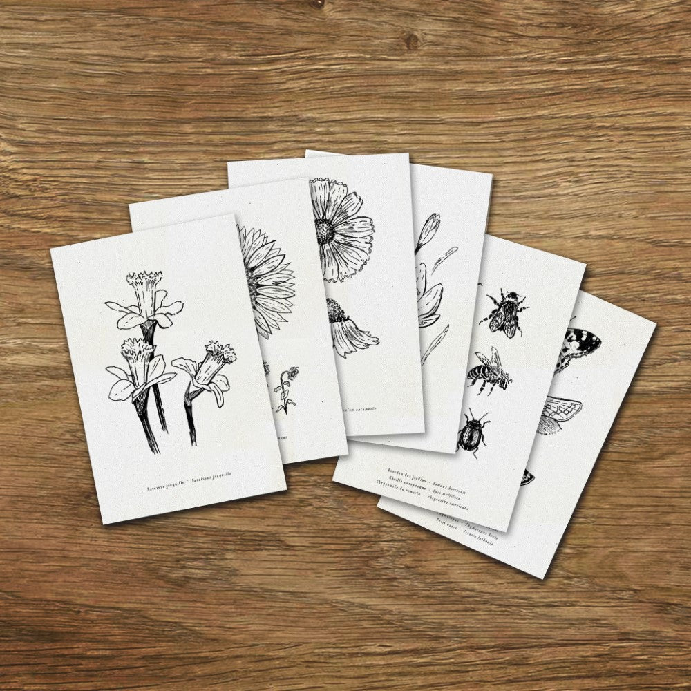 Cartes illustrées dessins fleurs carte gravure botanique carte anniversaire carte postale set de cartes folium maison botanique