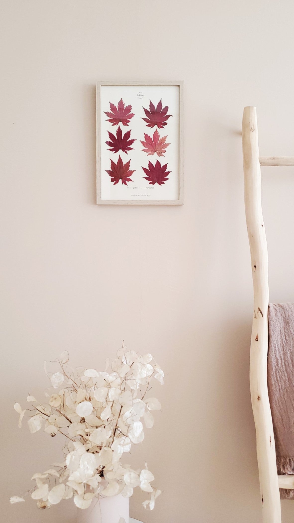 Cadre de feuilles séchées feuille rouge d'érable japonais folium herbiers de fleurs séchées cadre botaniquedécoration murale