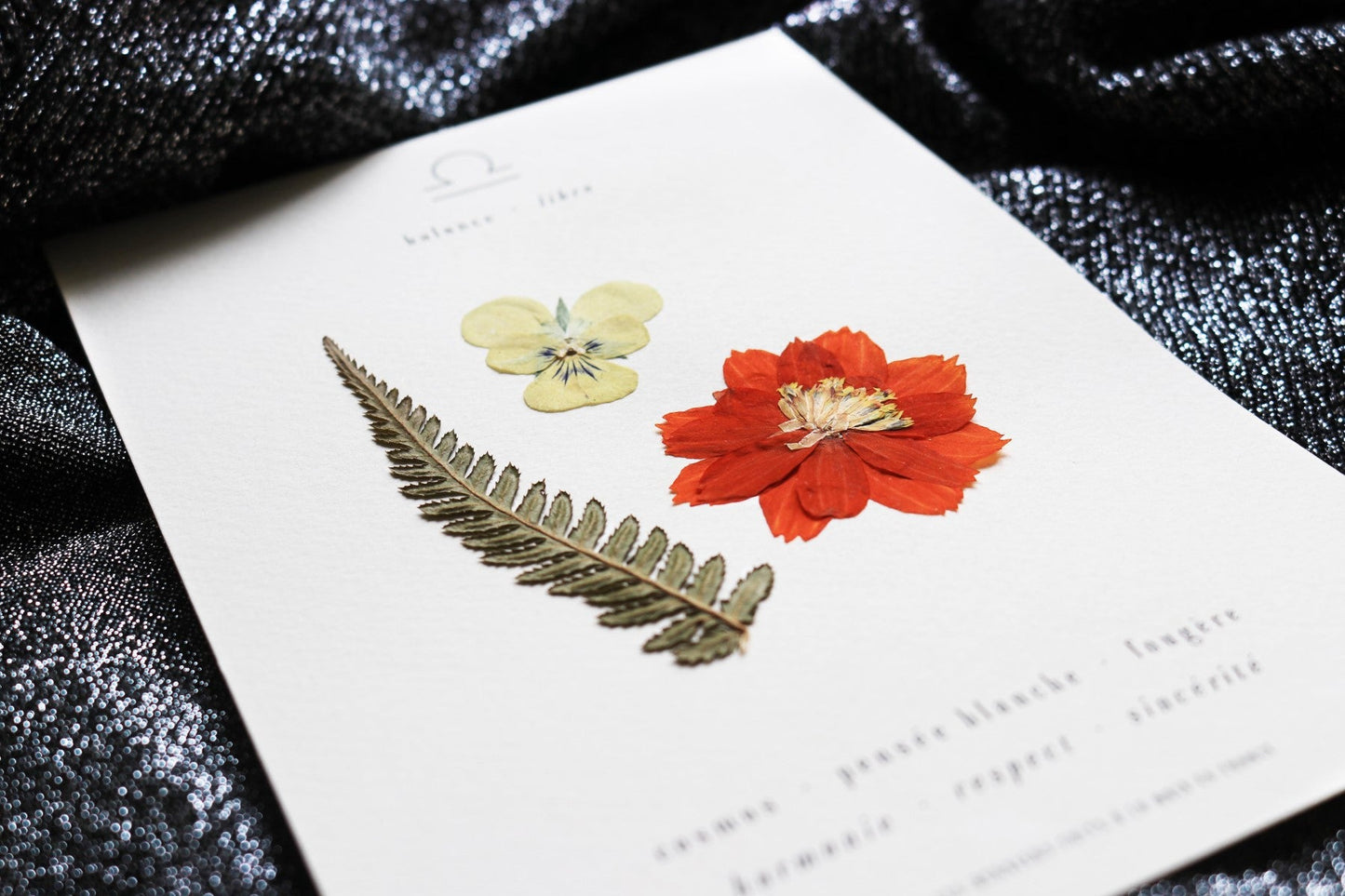 Herbier astrologique du balance avec de vraies fleurs séchées encadré en 13x18cm signe astro cadeau balance zodiaque