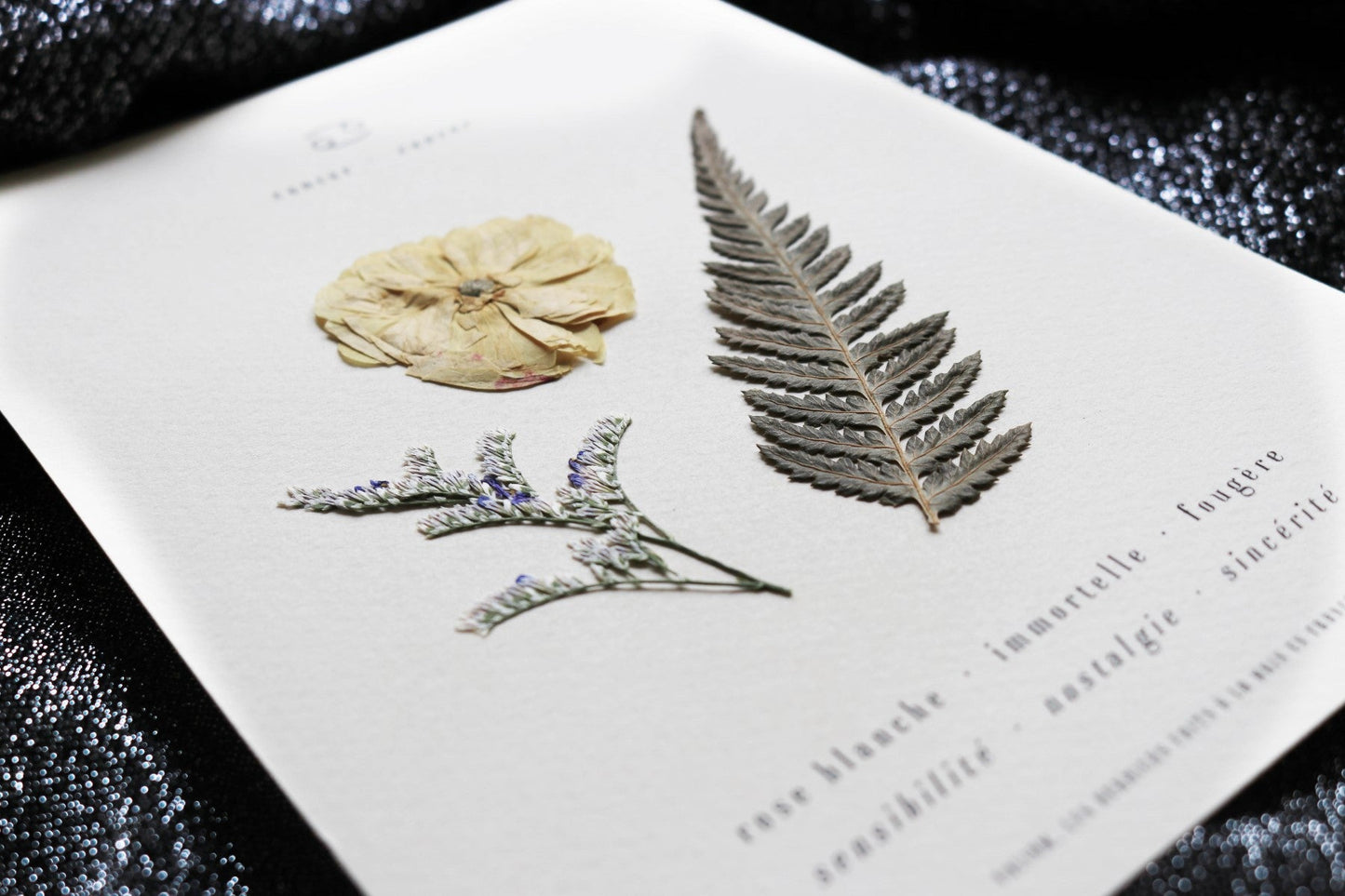 Herbier astrologique du cancer avec de vraies fleurs séchées encadré en 13x18cm signe astro cadeau cancer zodiaque