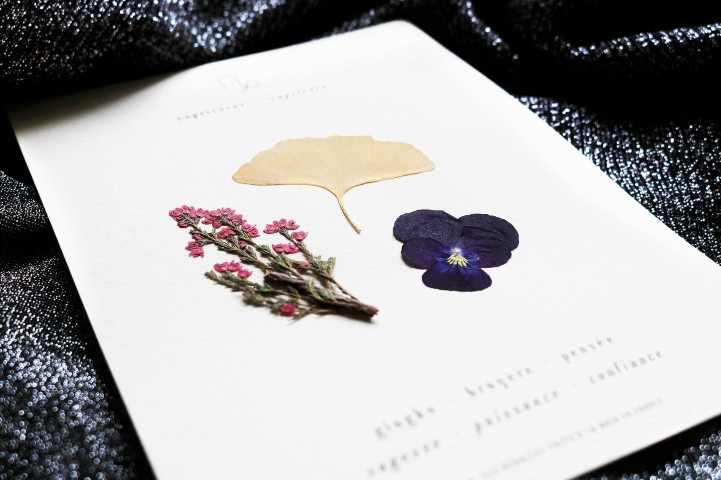 Herbier astrologique du capricorne avec de vraies fleurs séchées encadré en 13x18cm signe astro cadeau capricorne zodiaque