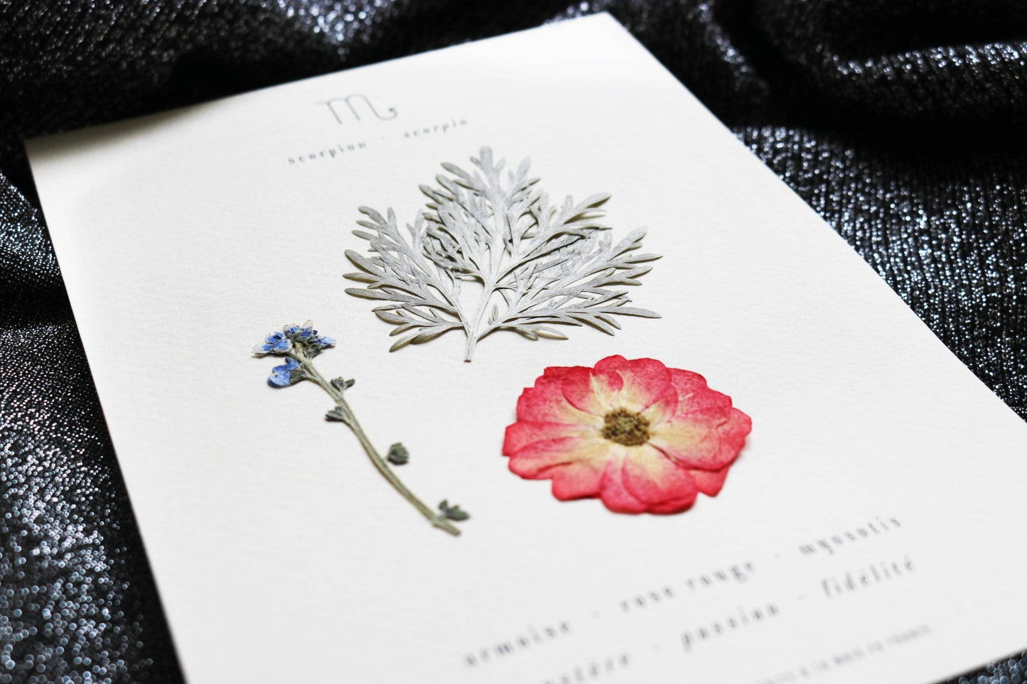 Herbier astrologique du scorpion avec de vraies fleurs séchées encadré en 13x18cm signe astro cadeau scorpion zodiaque