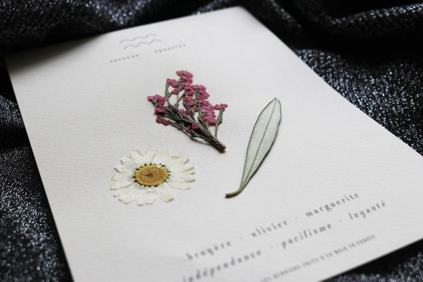 Herbier astrologique du verseau avec de vraies fleurs séchées encadré en 13x18cm signe astro cadeau verseau zodiaque