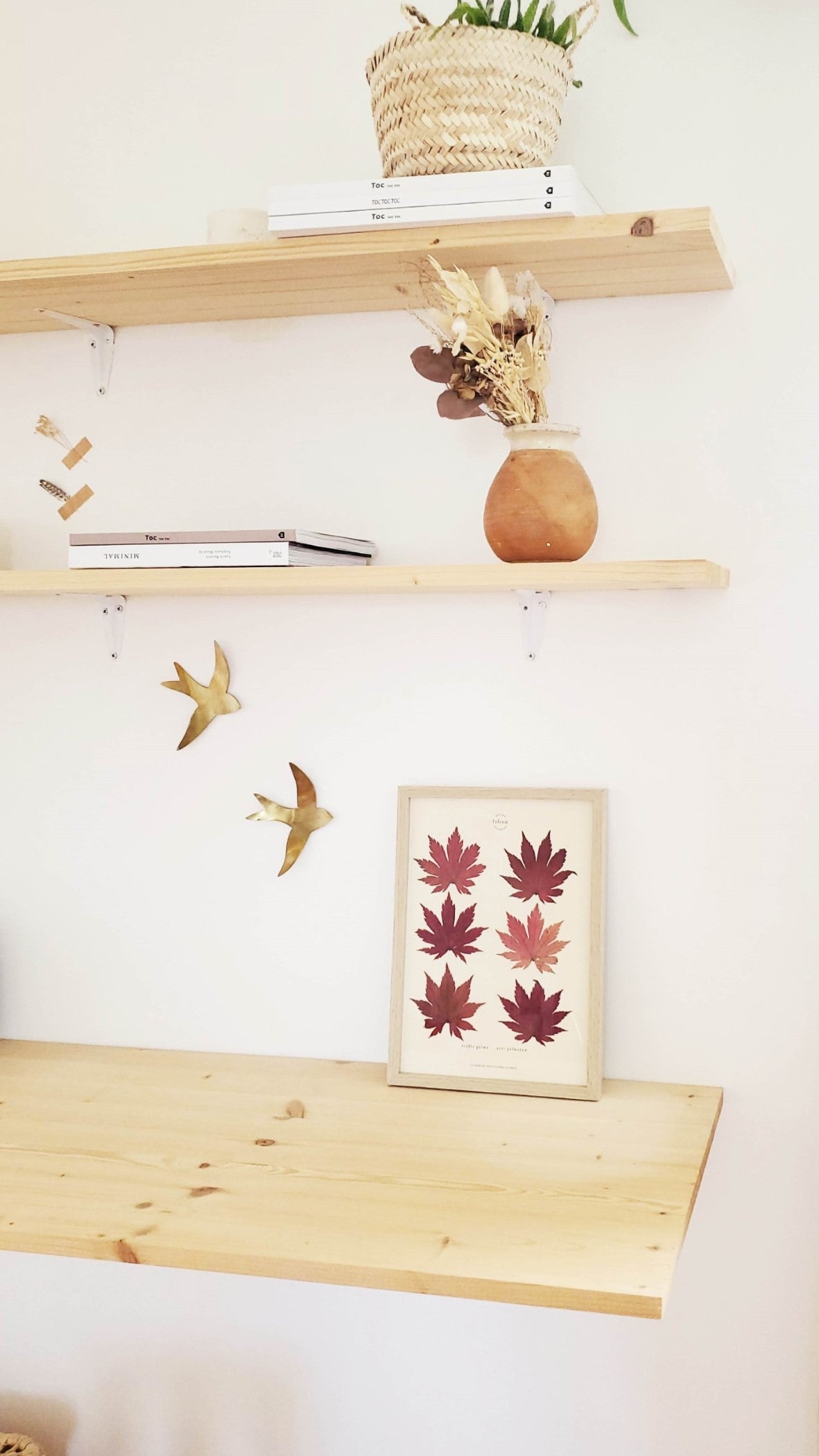 Cadre de feuilles séchées feuille rouge d'érable japonais folium herbiers de fleurs séchées cadre botaniquedécoration murale