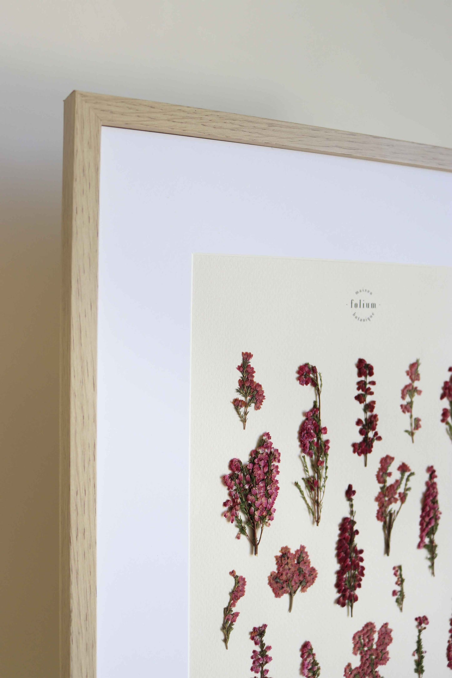 Herbier de fleurs roses bruyère séchée Herbarium encadré Cadre fleur herbier botanique Folium Herbaria Décoration Murale