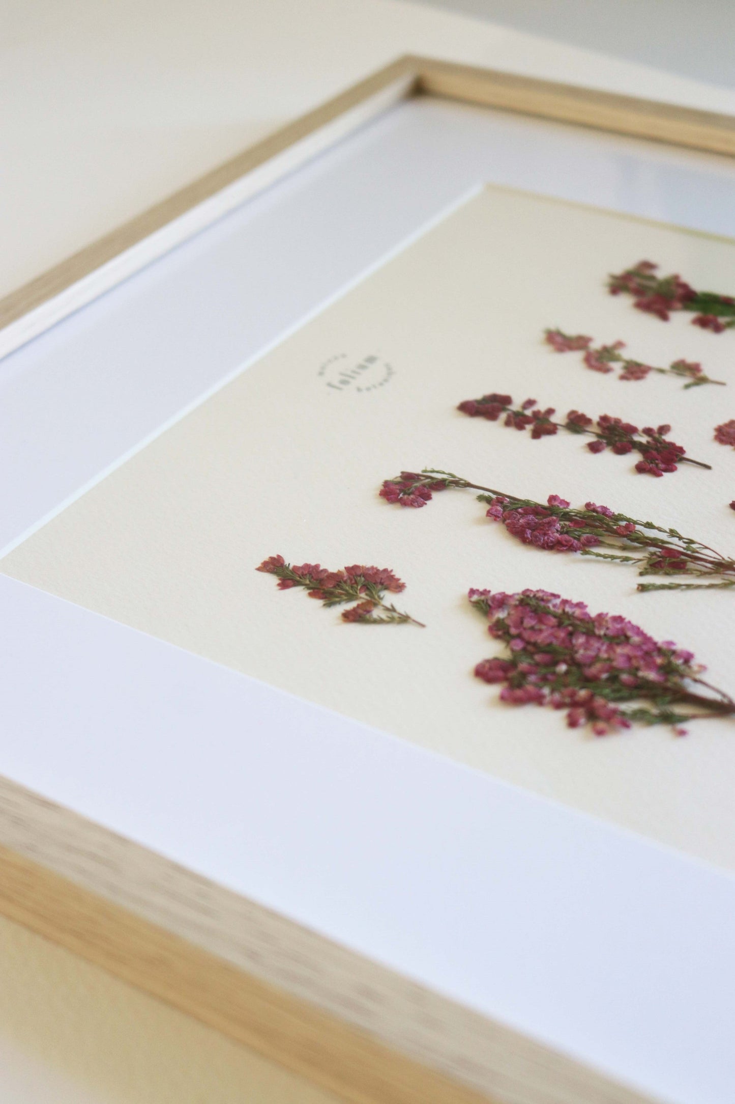 Herbier de fleurs roses bruyère séchée Herbarium encadré Cadre fleur herbier botanique Folium Herbaria Décoration Murale