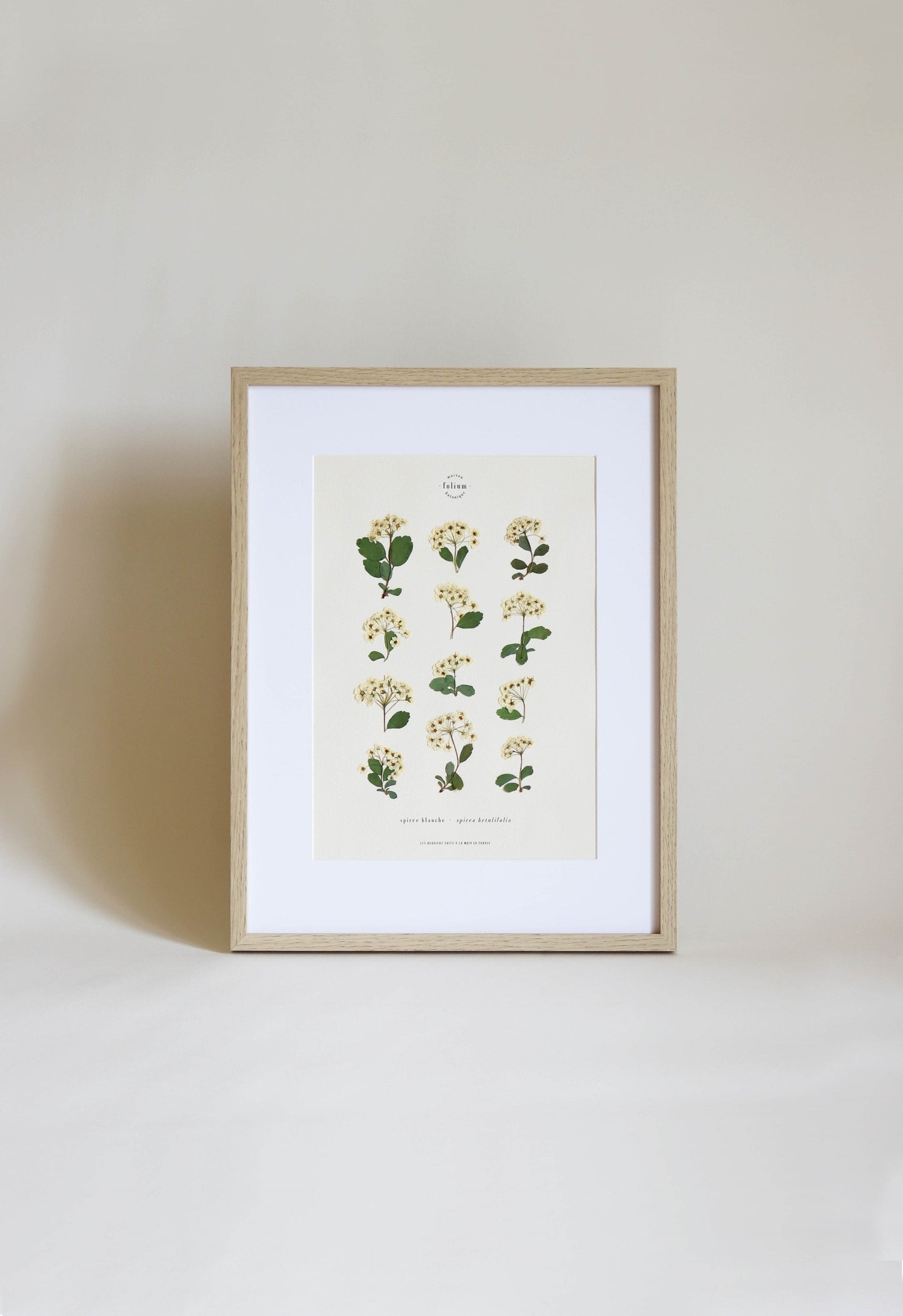 Herbier botanique de fleurs séchées Cadre herbarium encadré Cadeau floral Décoration murale Folium Maison Botanique