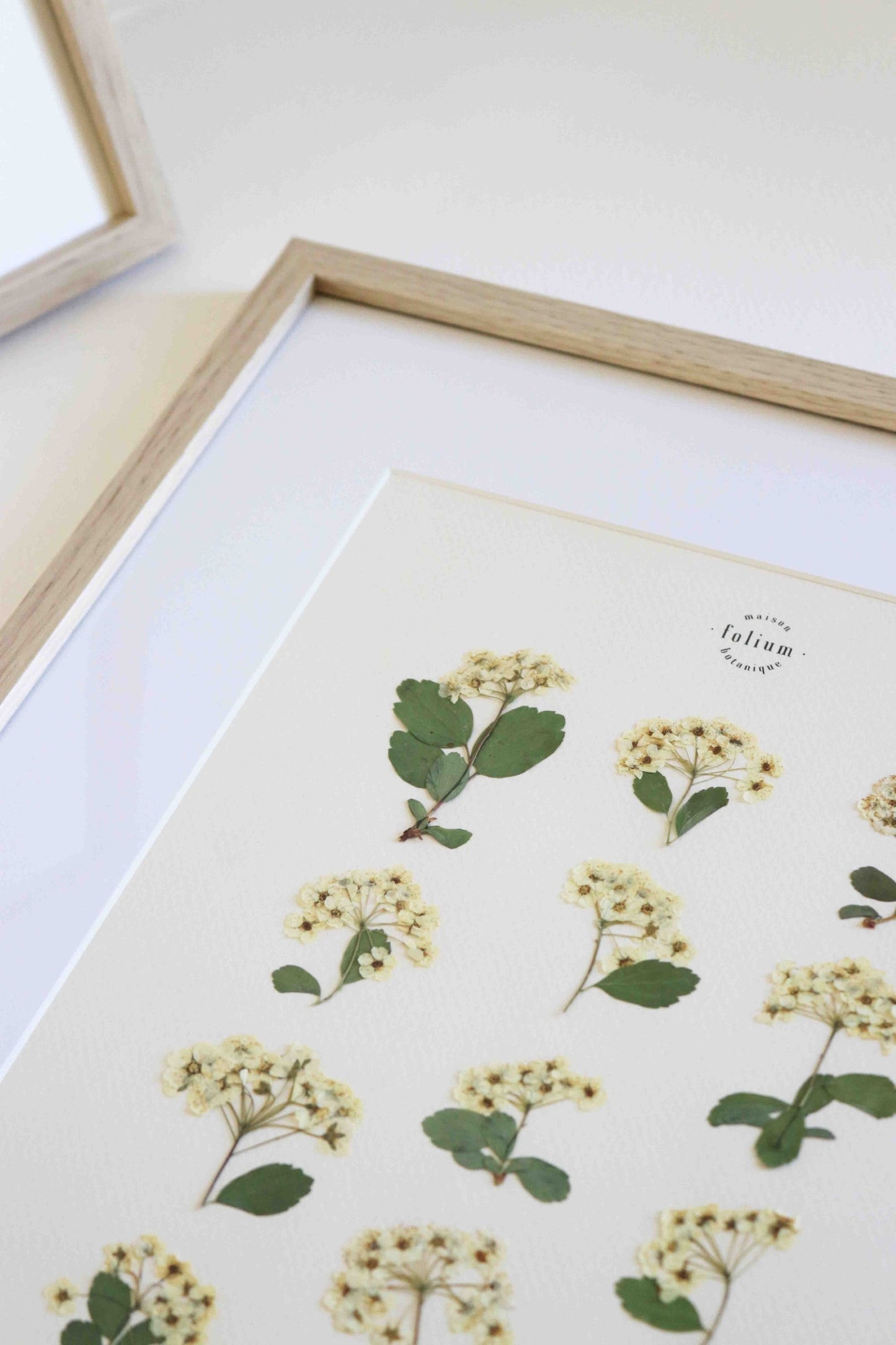 Herbier botanique de fleurs séchées Cadre herbarium encadré Cadeau floral Décoration murale Folium Maison Botanique