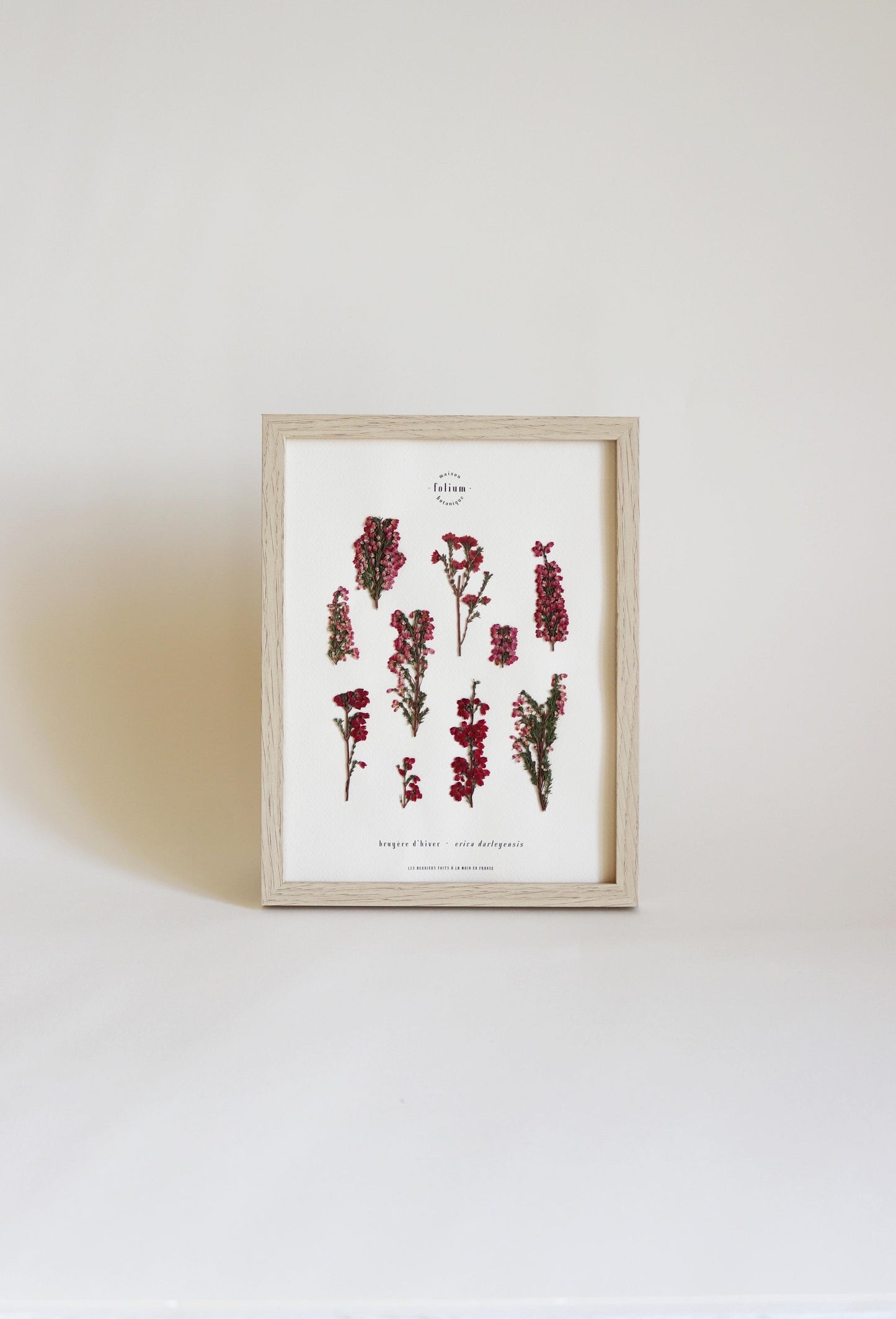 Herbier de fleurs roses bruyère séchée Herbarium encadré Cadre fleur herbier botanique Folium Herbaria Décoration Murale