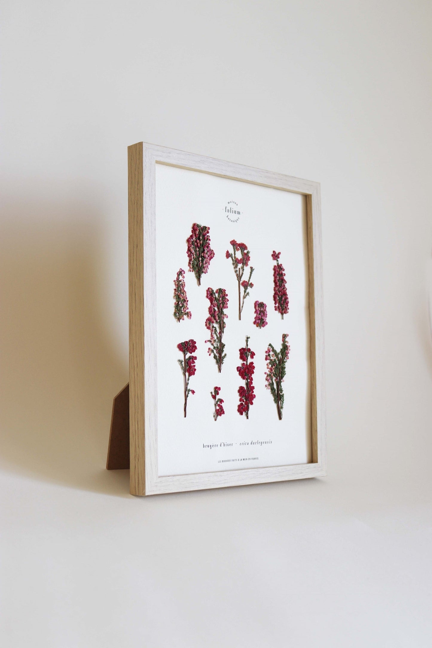 Herbier de fleurs roses bruyère séchée Herbarium encadré Cadre fleur herbier botanique Folium Herbaria Décoration Murale