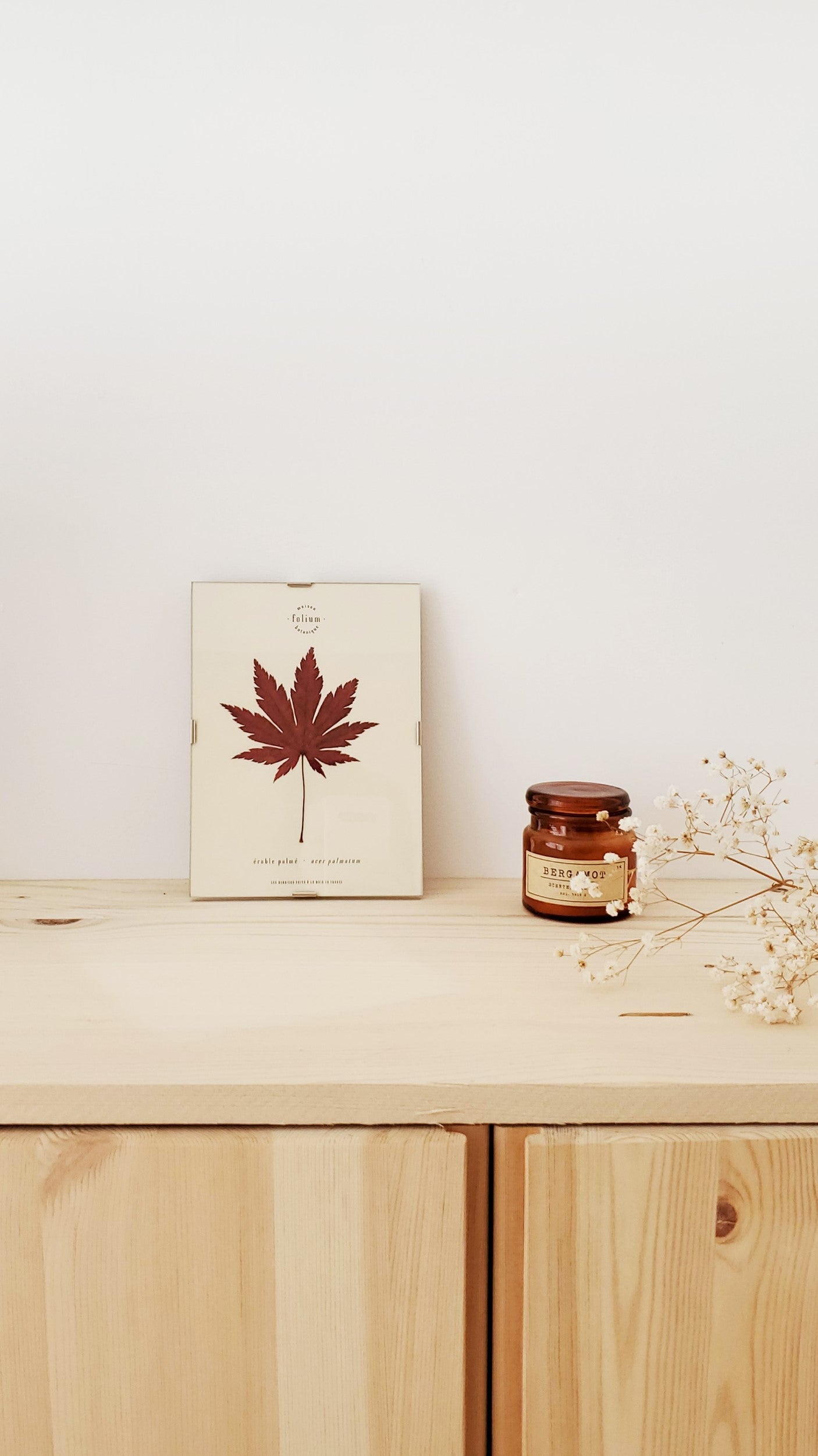 Cadre de feuilles séchées feuille rouge d'érable japonais folium herbiers de fleurs séchées cadre botanique décoration murale