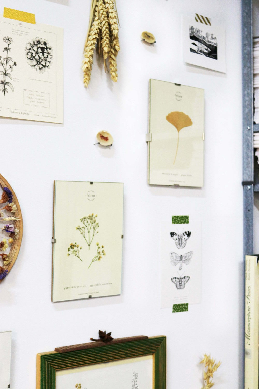 Herbier fleurs blanches Cadeau de naissance floral Décoration murale mur de cadres Gypsophile Baby's breathe Folium