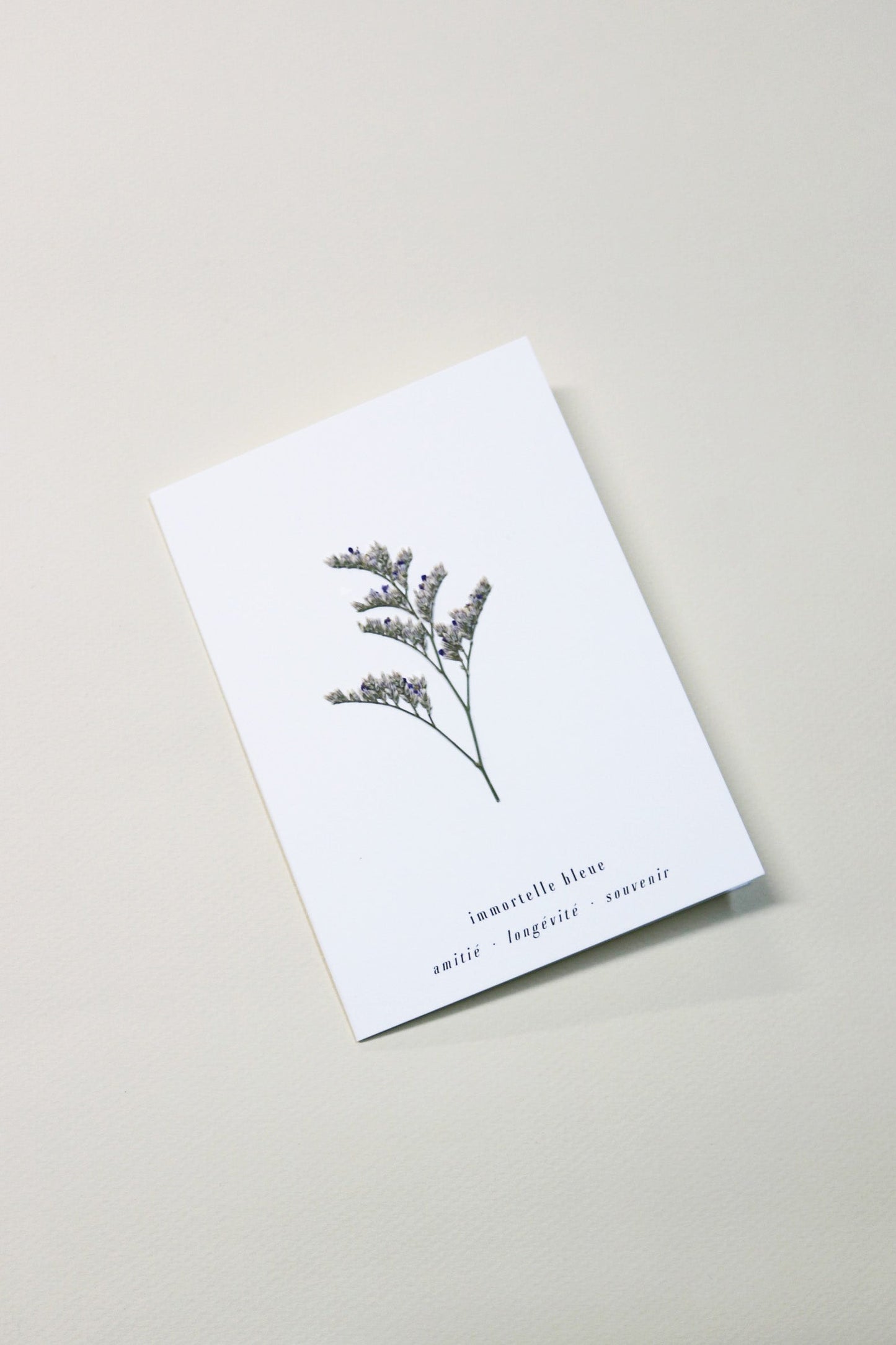 Carte vraie fleur séchée carte de vœux cadeau anniversaire symbolique langage des fleurs faire part naissance mariage immortelle séchées lavande des mers