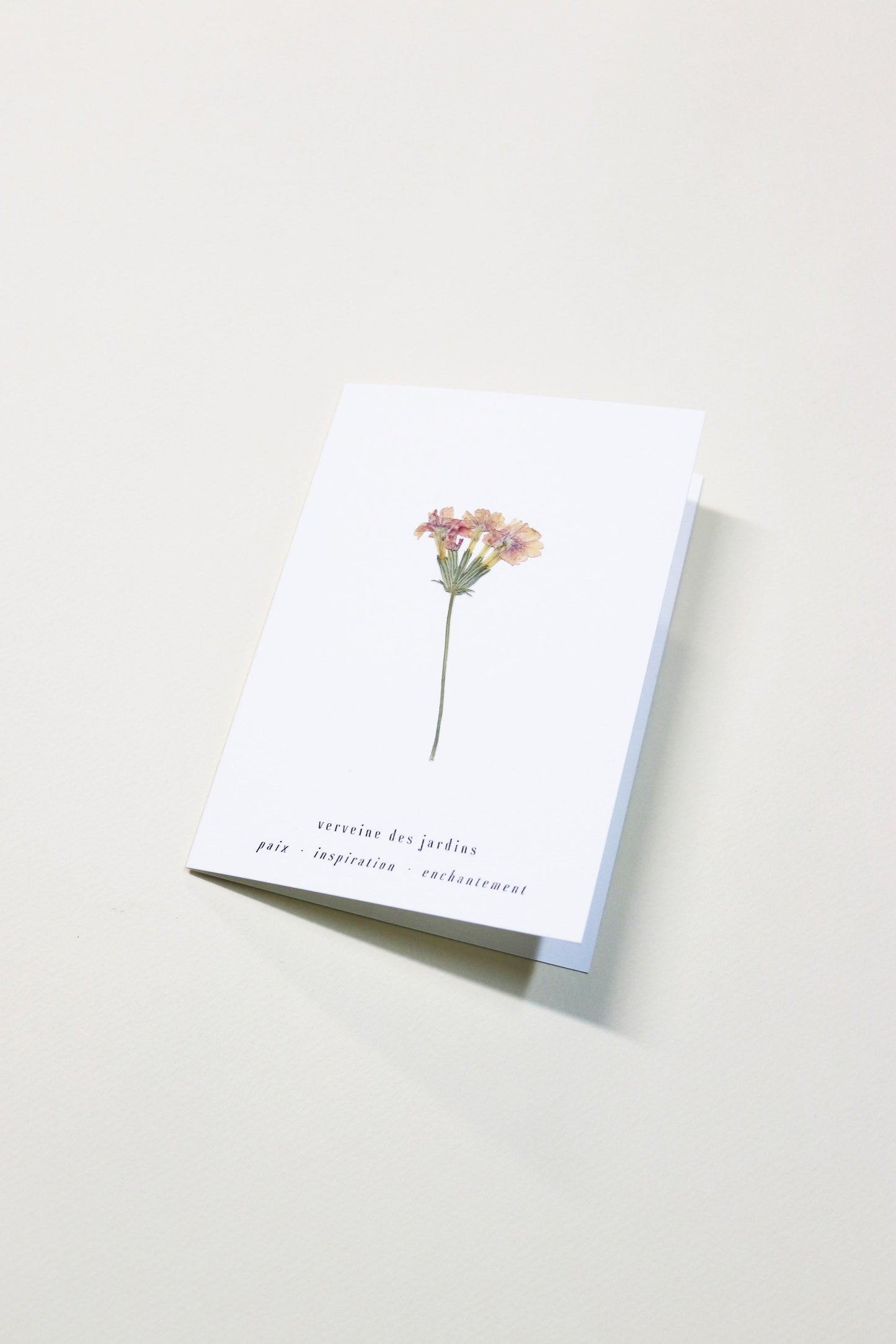 Carte vraie fleur séchée carte de vœux cadeau anniversaire symbolique langage des fleurs faire part naissance mariage verveine des jardin