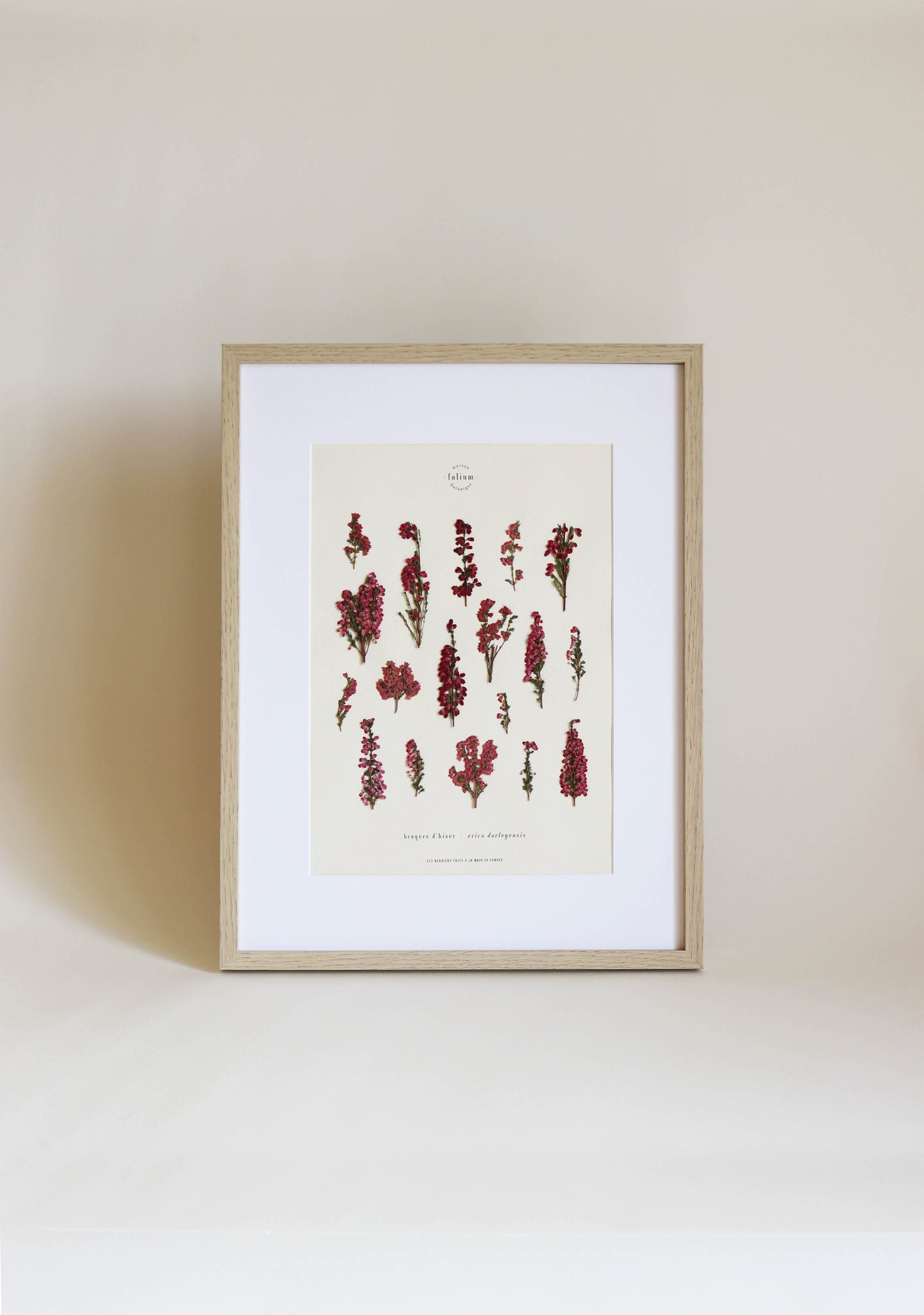Herbier de fleurs roses bruyère séchée Herbarium encadré Cadre fleur herbier botanique Folium Herbaria Décoration Murale