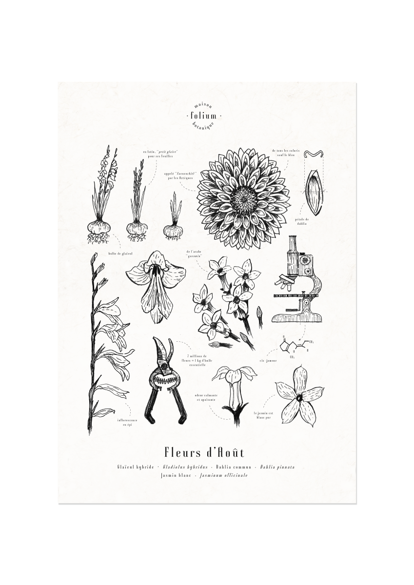 affiche_botanique_illustration_florale_dessin_fleur_folium_maison_botanique_cadeau_personnalise