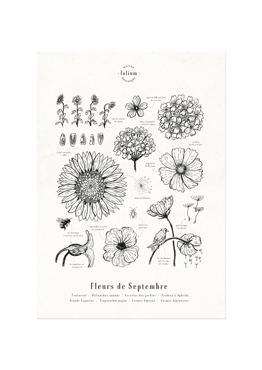 affiche_botanique_illustration_florale_dessin_fleur_folium_maison_botanique_cadeau_personnalise