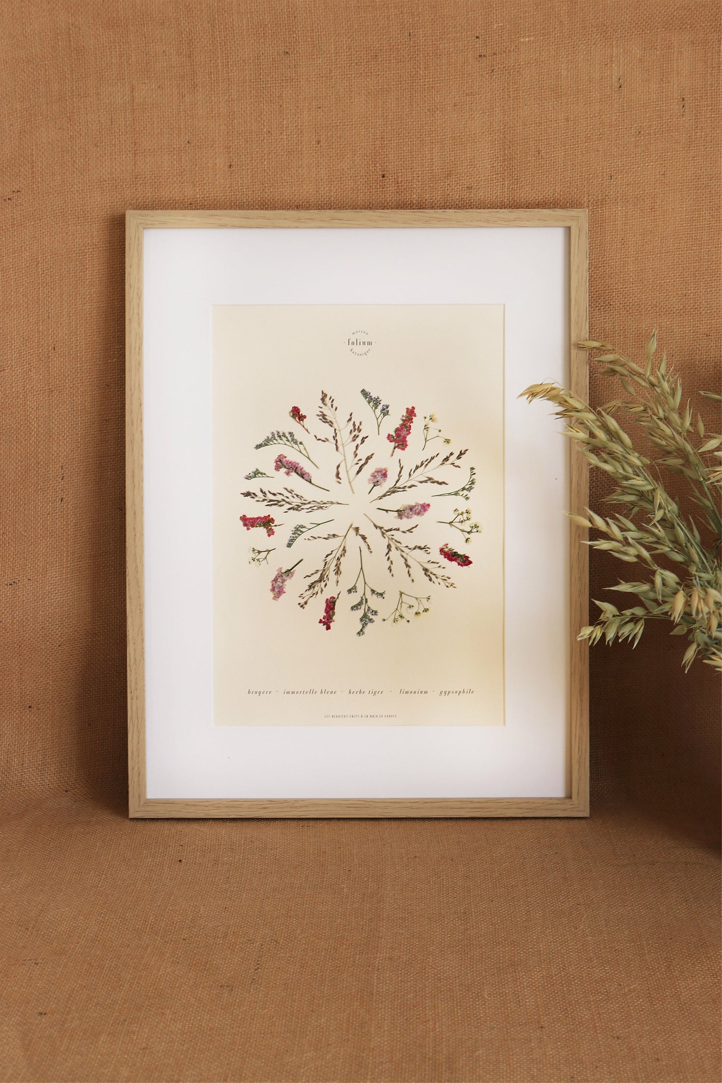 Folium - Herbier de fleurs séchées encadrées herbaria herbarium herbario déco cadre fleur botanique