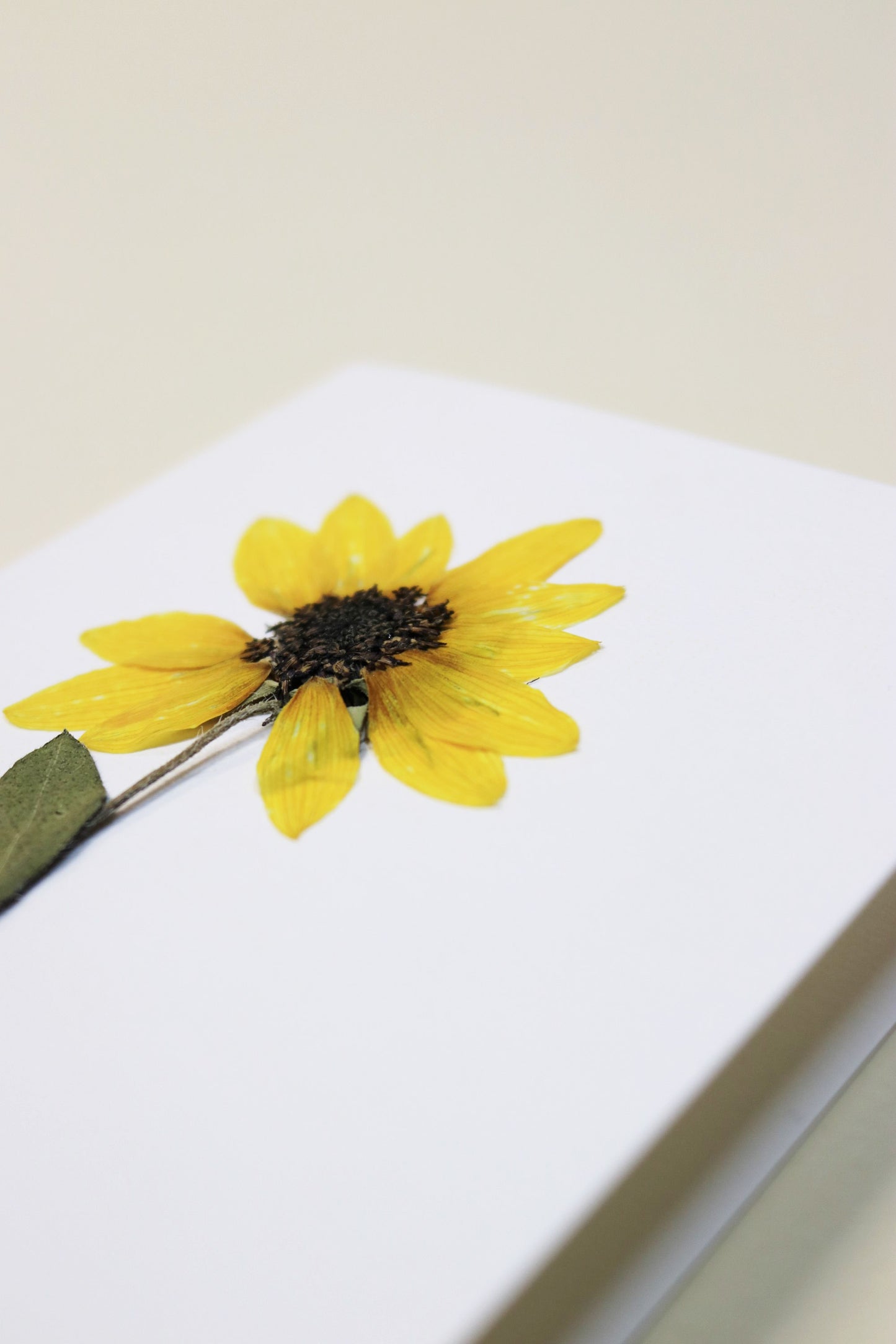 La carte Tournesol