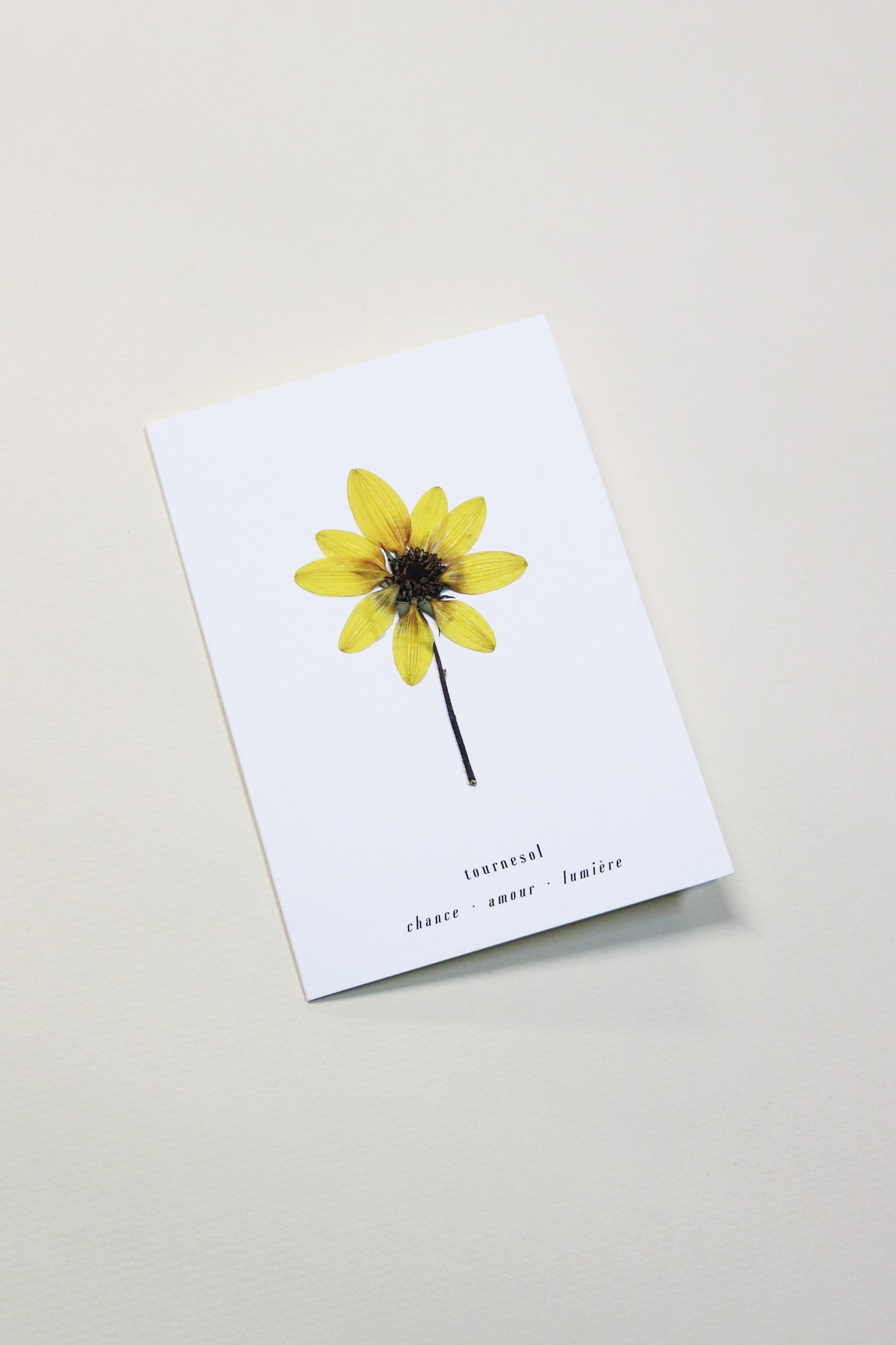La carte Tournesol
