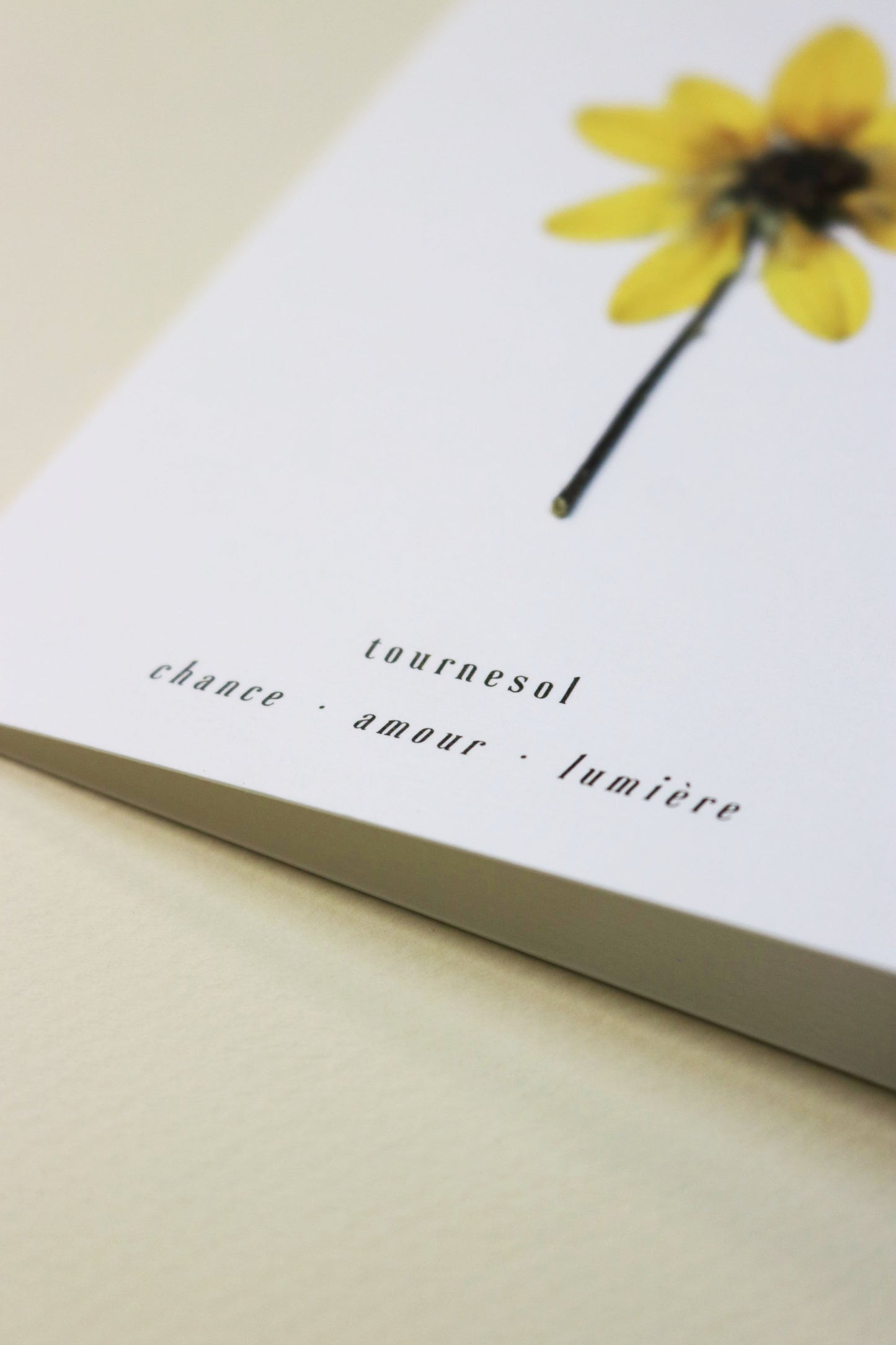 La carte Tournesol