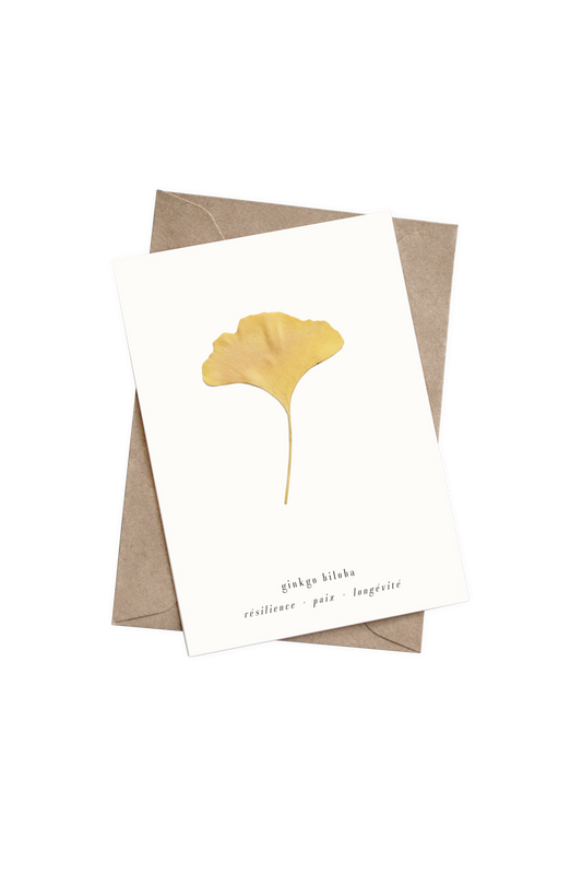 La carte Ginkgo