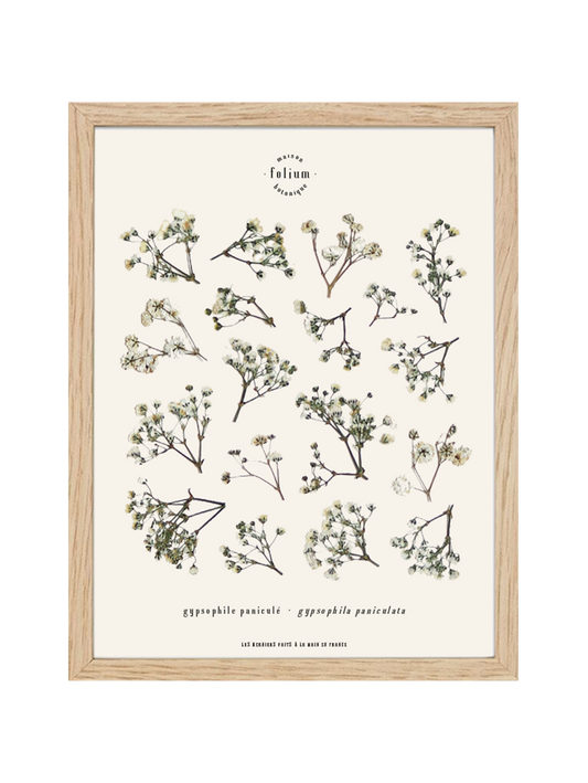 Herbier fleurs blanches Cadre fleurs séchées Cadeau de naissance floral Décoration murale mur de cadres Gypsophile Baby's breathe Folium