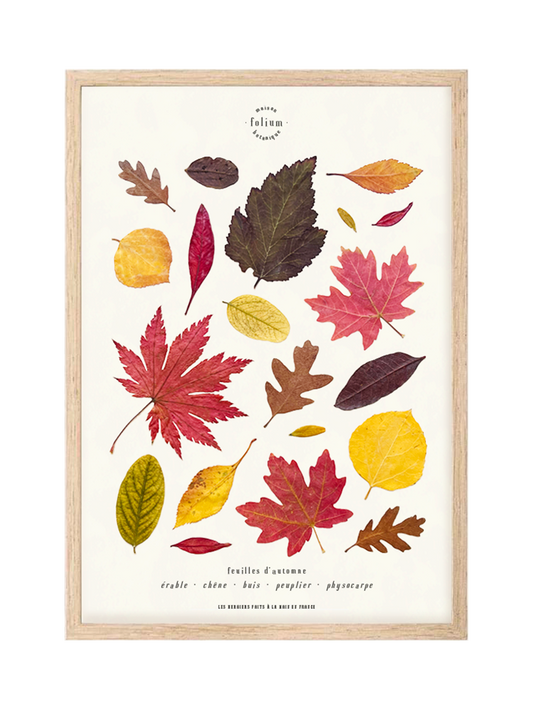 Herbier feuilles séchées carnet herbier feuilles d'automne rouge jaune Herbier feuilles mortes Herbarium encadré Cadr