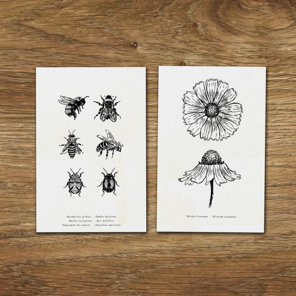 Cartes illustrées dessins fleurs carte gravure botanique carte anniversaire carte postale set de cartes folium maison botanique
