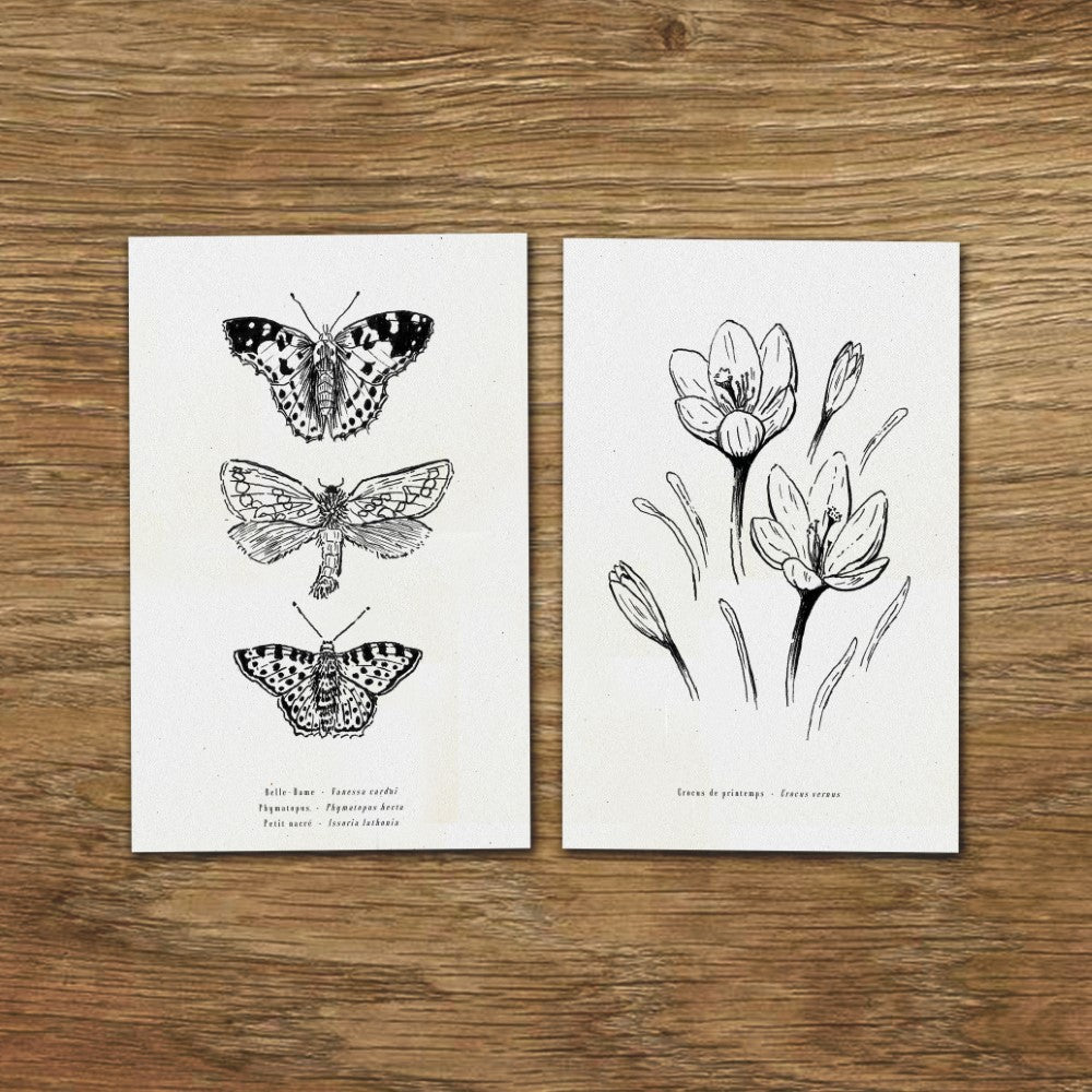 Cartes illustrées dessins fleurs carte gravure botanique carte anniversaire carte postale set de cartes folium maison botanique