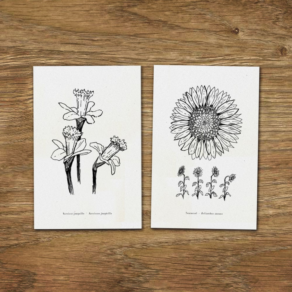 Cartes illustrées dessins fleurs carte gravure botanique carte anniversaire carte postale set de cartes folium maison botanique