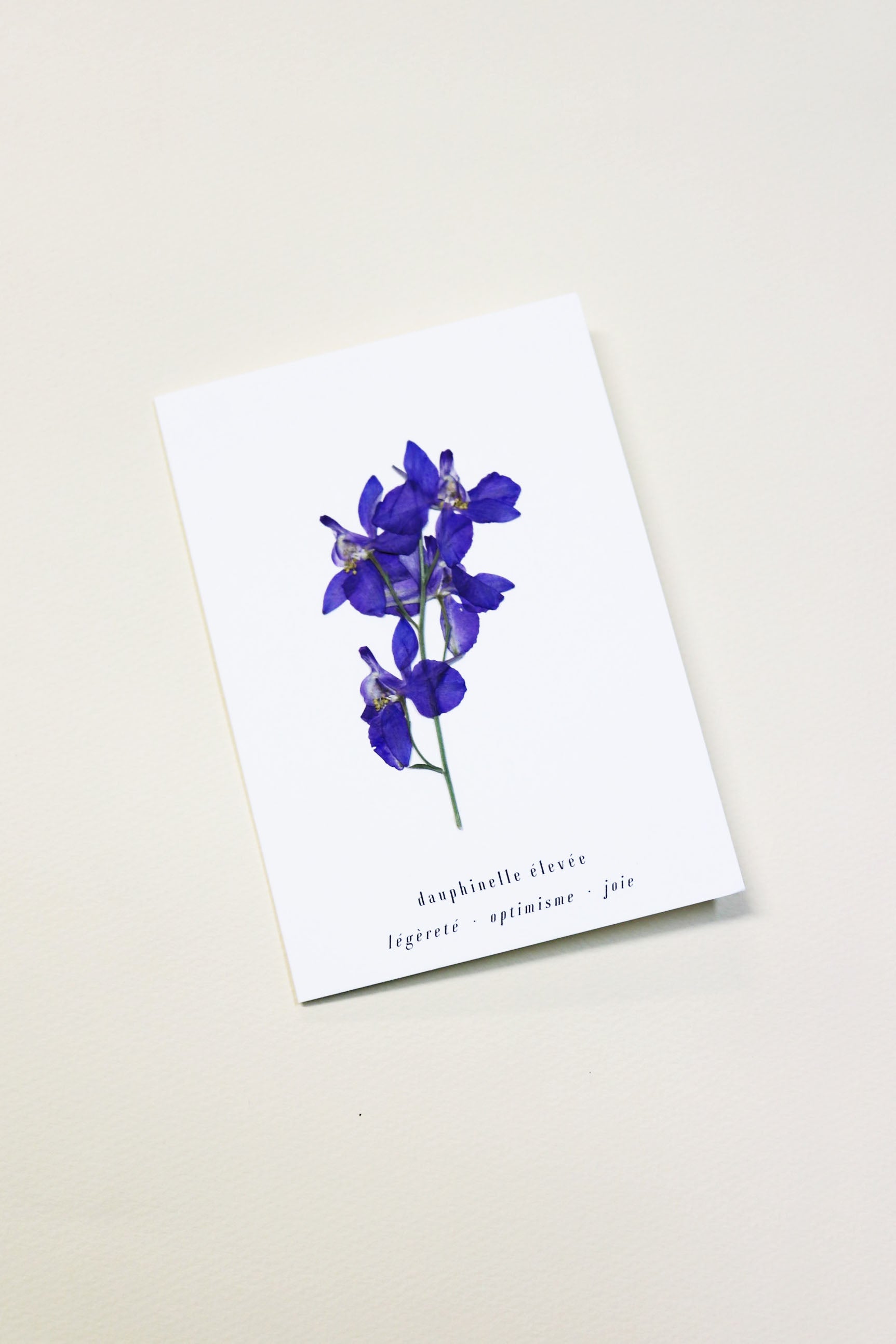 Carte vraie fleur séchée carte de vœux cadeau anniversaire symbolique langage des fleurs faire part naissance mariage dauphinelle séchée delphinium