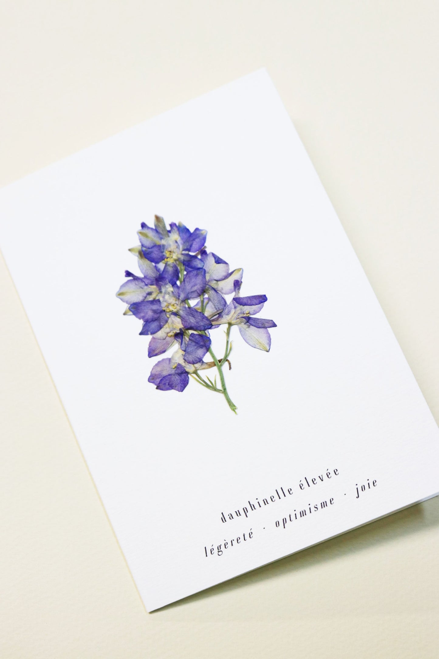 Carte vraie fleur séchée carte de vœux cadeau anniversaire symbolique langage des fleurs faire part naissance mariage dauphinelle séchée delphinium