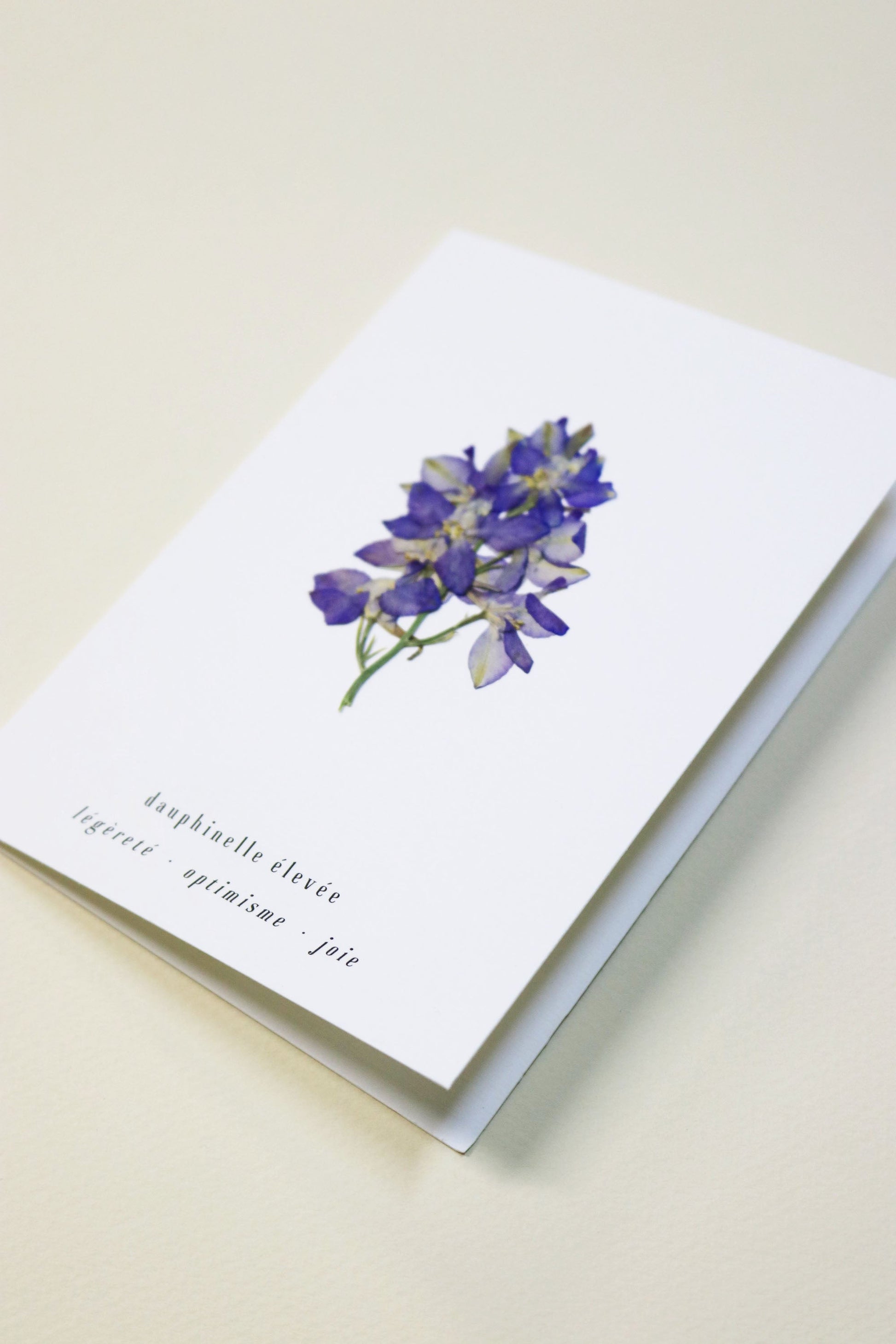 Carte vraie fleur séchée carte de vœux cadeau anniversaire symbolique langage des fleurs faire part naissance mariage dauphinelle séchée delphinium