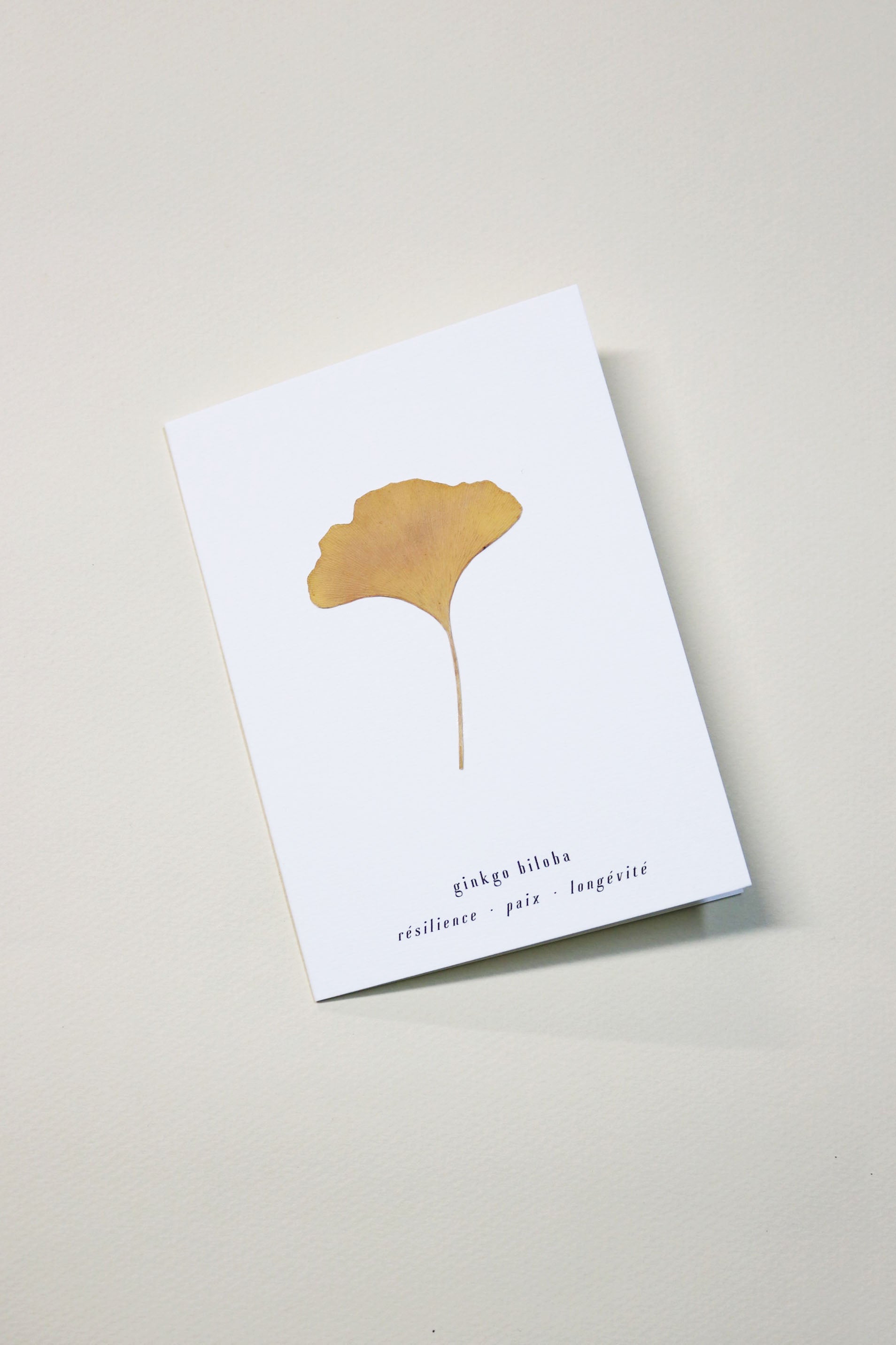 Carte vraie fleur séchée carte de vœux cadeau anniversaire symbolique langage des fleurs faire part naissance mariage feuille de ginkgo biloba