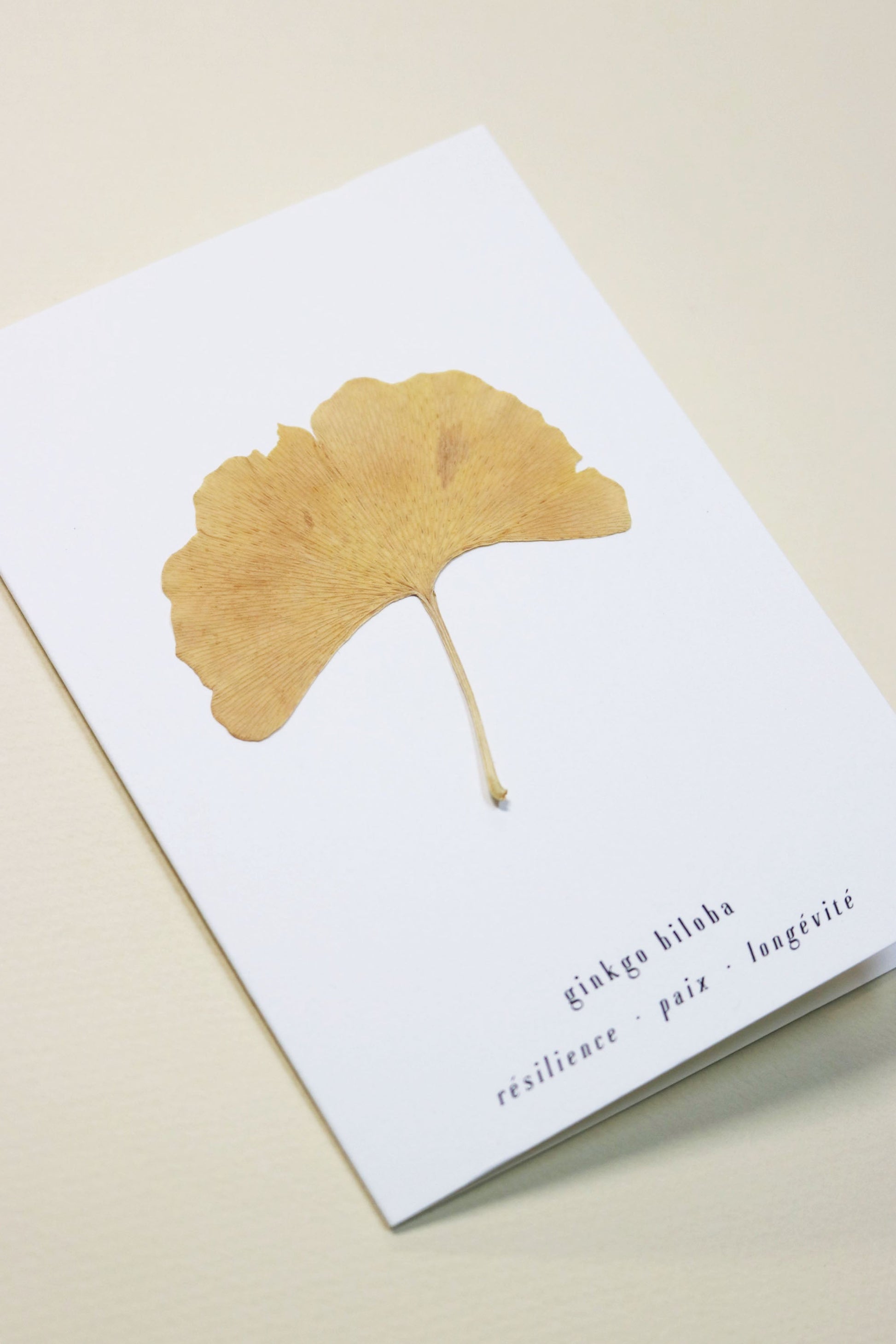 Carte vraie fleur séchée carte de vœux cadeau anniversaire symbolique langage des fleurs faire part naissance mariage feuille de ginkgo biloba