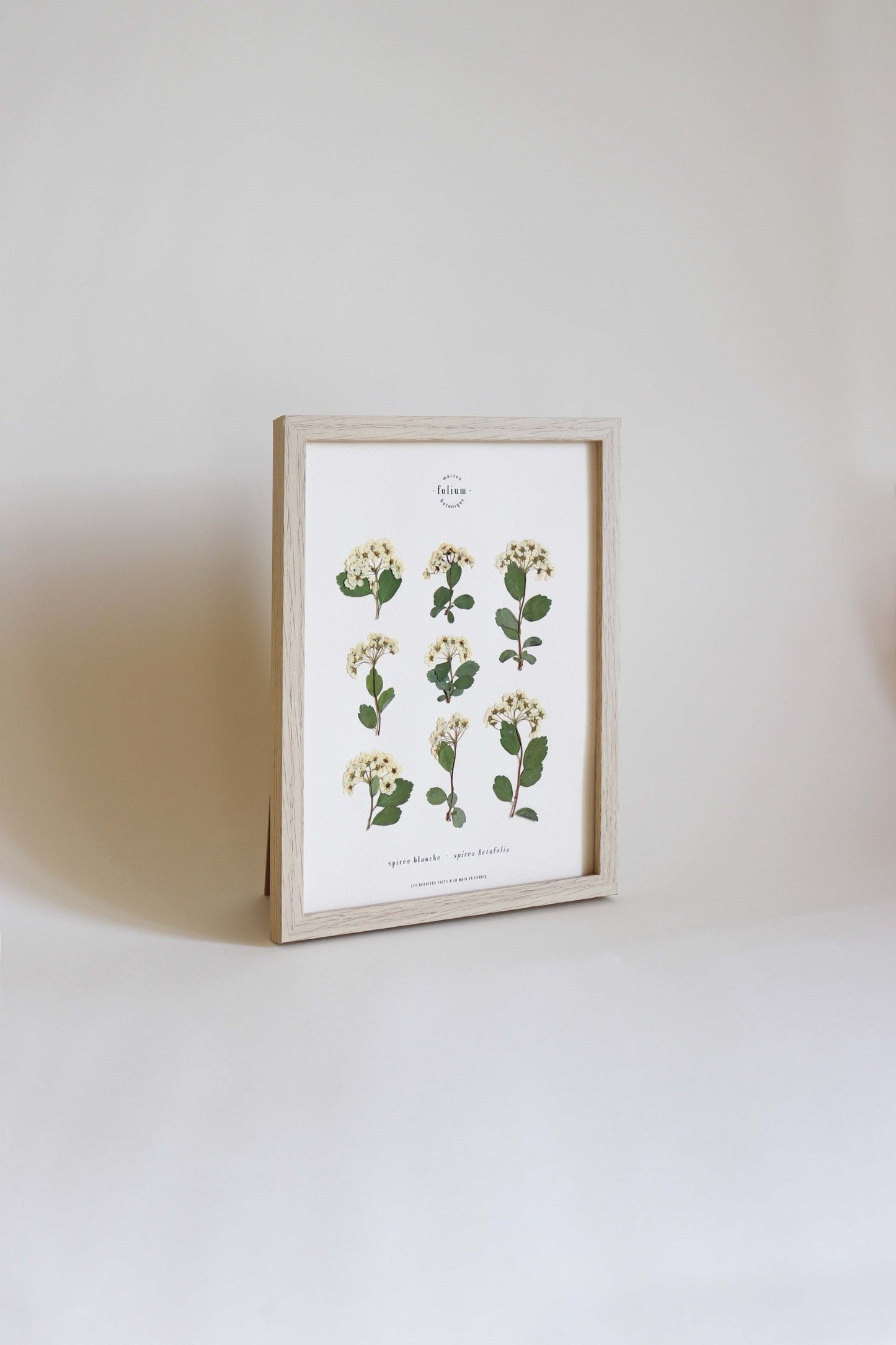 Herbier de fleurs séchées Herbarium encadré Herbier tableau petit herbier cadeau naissance fleur blanche folium botanique