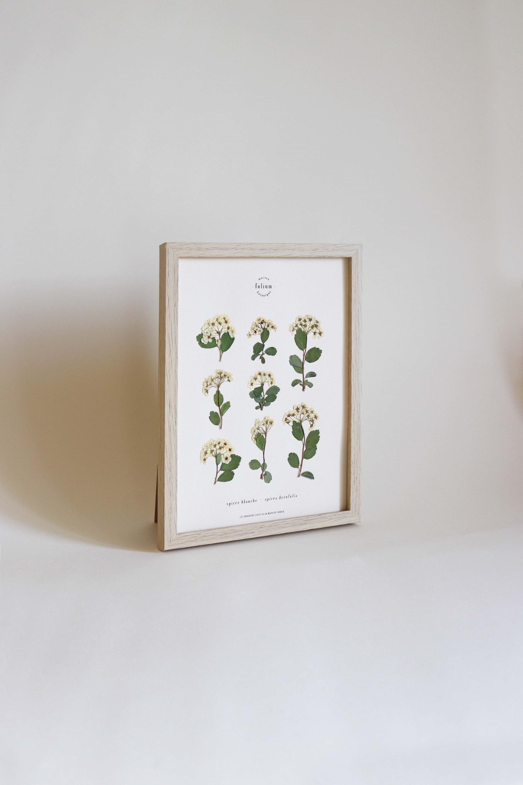 Herbier de fleurs séchées Herbarium encadré Herbier tableau petit herbier cadeau naissance fleur blanche folium botanique