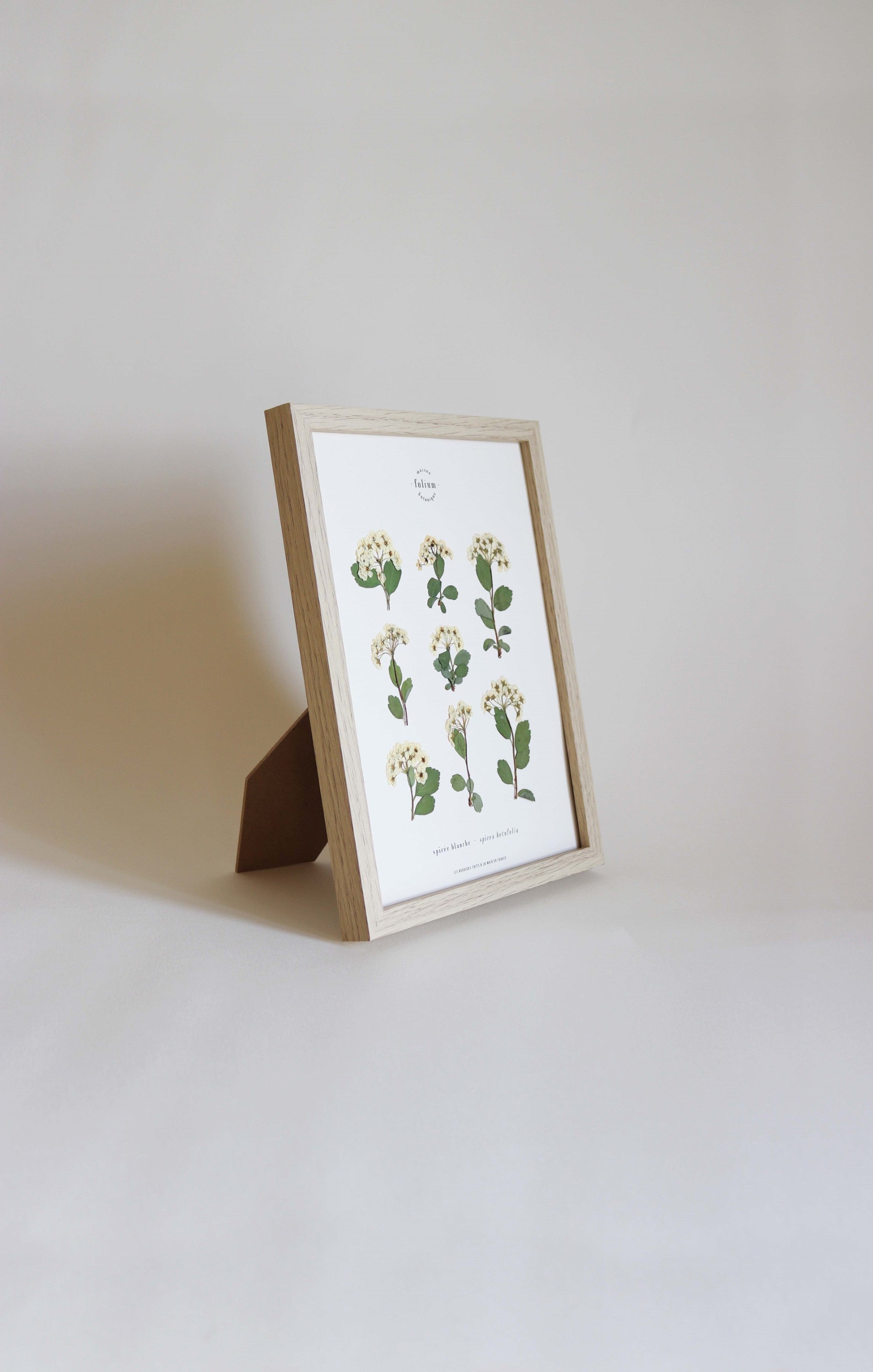 Herbier de fleurs séchées Herbarium encadré Herbier tableau petit herbier cadeau naissance fleur blanche folium botanique