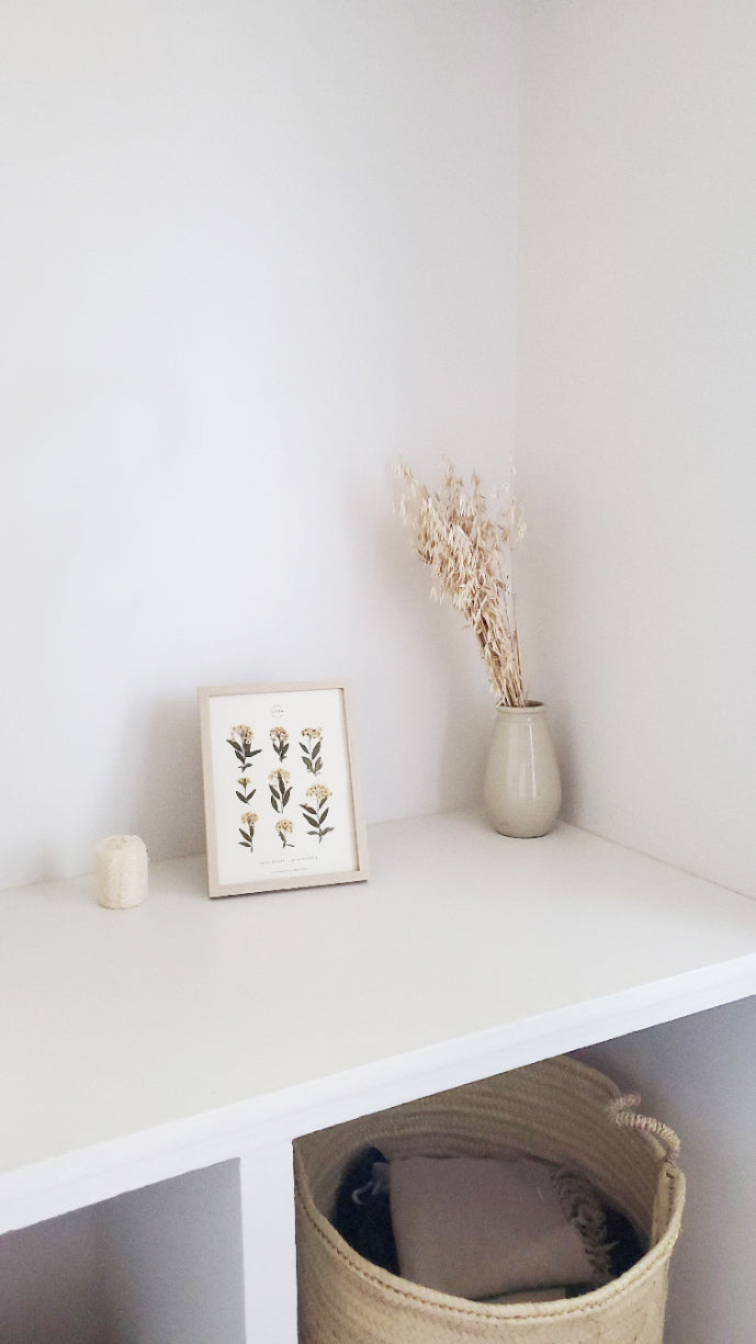 Herbier de fleurs séchées Herbarium encadré Herbier tableau petit herbier cadeau naissance fleur blanche folium botanique