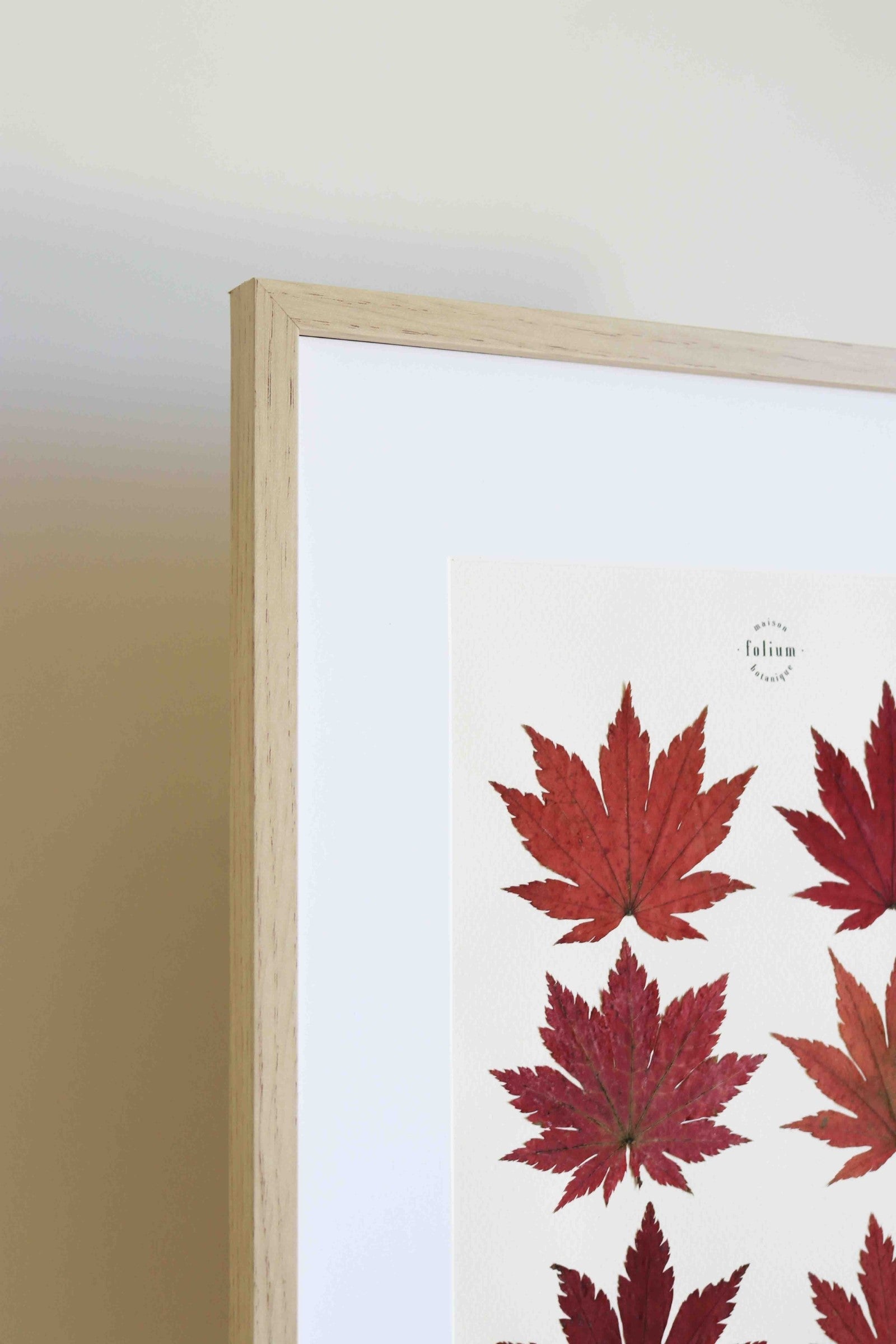 Cadre de feuilles séchées feuille rouge d'érable japonais folium herbiers de fleurs séchées cadre botaniquedécoration murale