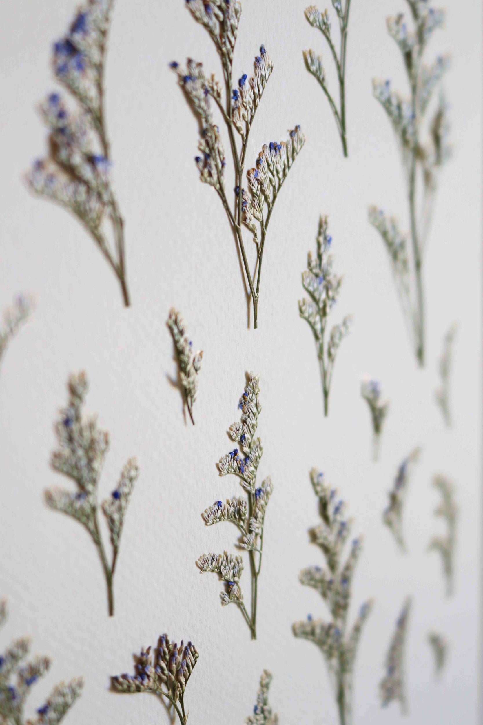 Comment réaliser un herbier en cadre pour la fête des mères.Le Mag Comment réaliser un herbier en cadre pour la fête des mères.Le Mag