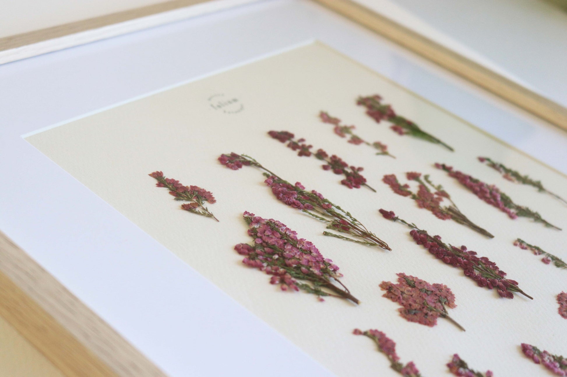 Herbier de fleurs roses bruyère séchée Herbarium encadré Cadre fleur herbier botanique Folium Herbaria Décoration Murale