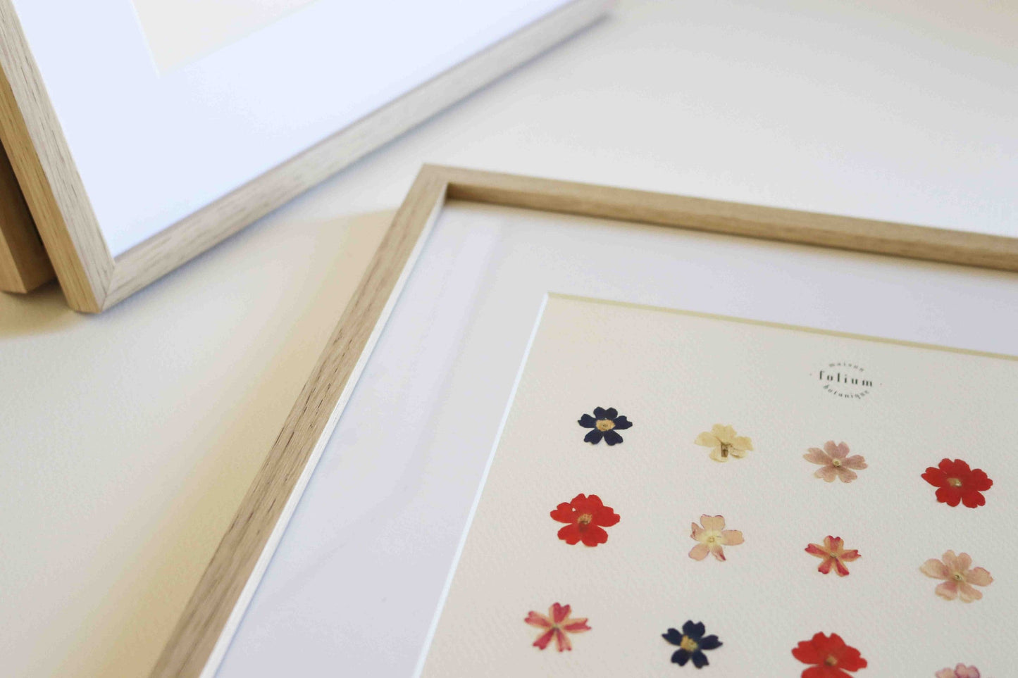 Herbier encadré de fleurs de verveine rose bleu Cadre Herbarium de fleurs séchées Cadeau fleurs séchées Folium Maison Botanique