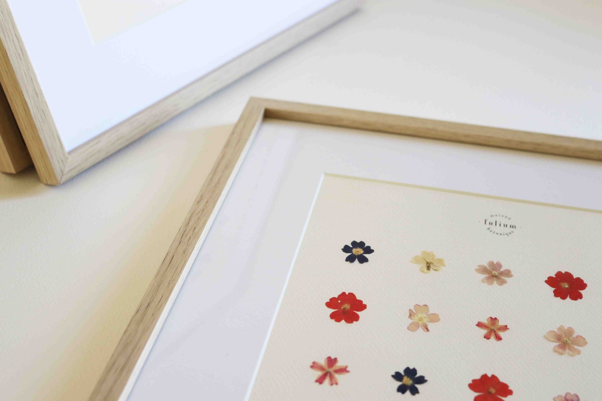 Herbier encadré de fleurs de verveine rose bleu Cadre Herbarium de fleurs séchées Cadeau fleurs séchées Folium Maison Botanique