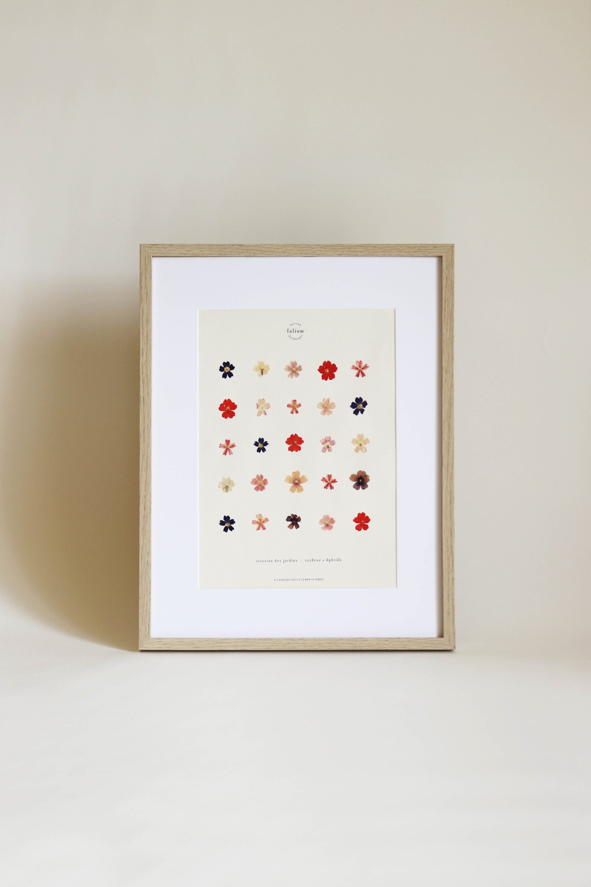 Herbier encadré de fleurs de verveine rose bleu Cadre Herbarium de fleurs séchées Cadeau fleurs séchées Folium Maison Botanique