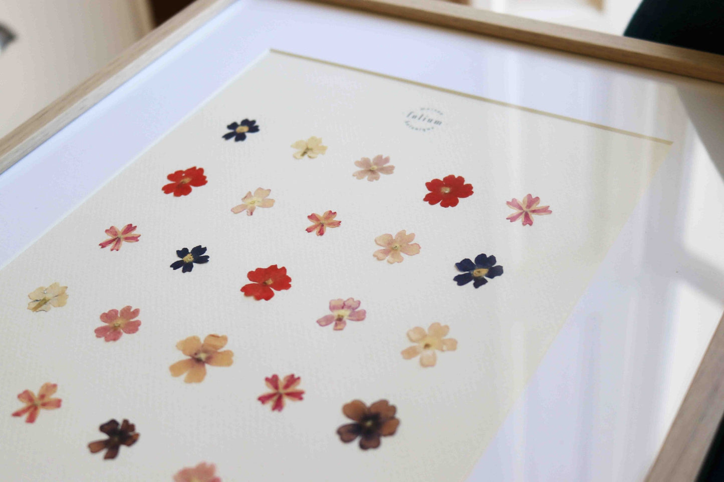 Herbier encadré de fleurs de verveine rose bleu Cadre Herbarium de fleurs séchées Cadeau fleurs séchées Folium Maison Botanique
